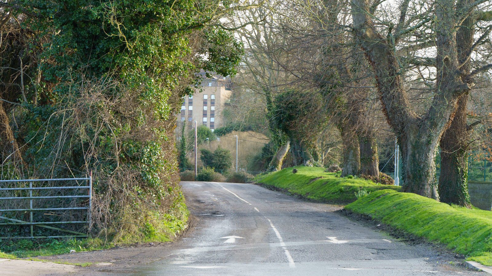 THIS WAS MY FIRST TIME TO VISIT DUNSINEA LANE [ASHTOWN AREA OF DUBLIN]-228917-1