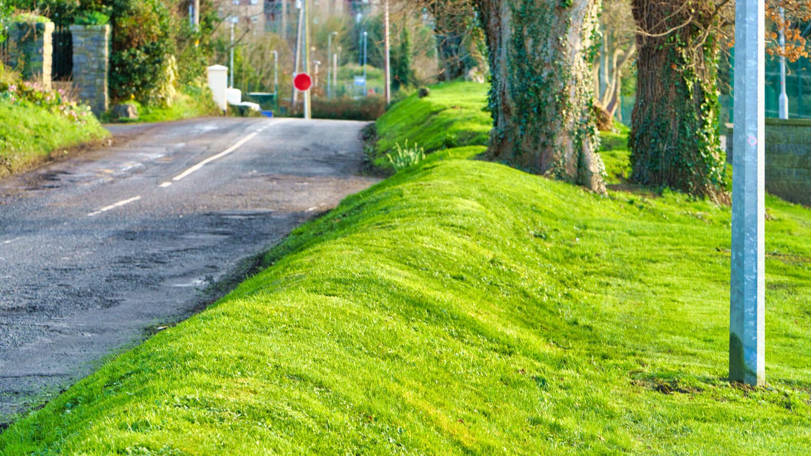 THIS WAS MY FIRST TIME TO VISIT DUNSINEA LANE [ASHTOWN AREA OF DUBLIN]-228918-1