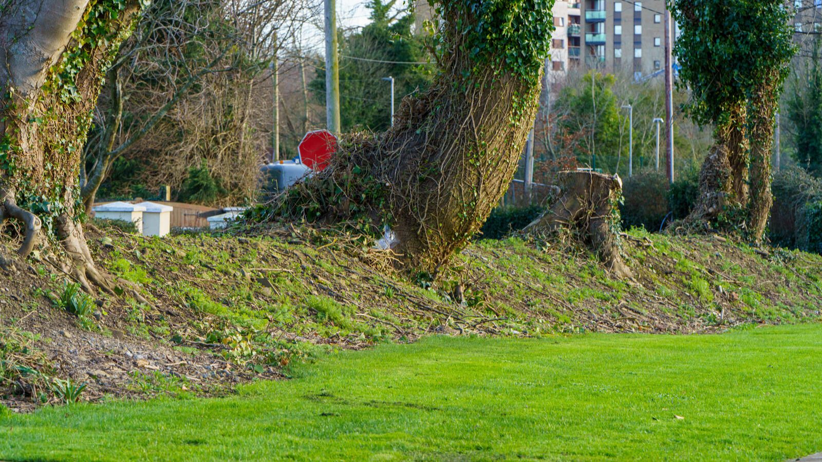 THIS WAS MY FIRST TIME TO VISIT DUNSINEA LANE [ASHTOWN AREA OF DUBLIN]-228921-1