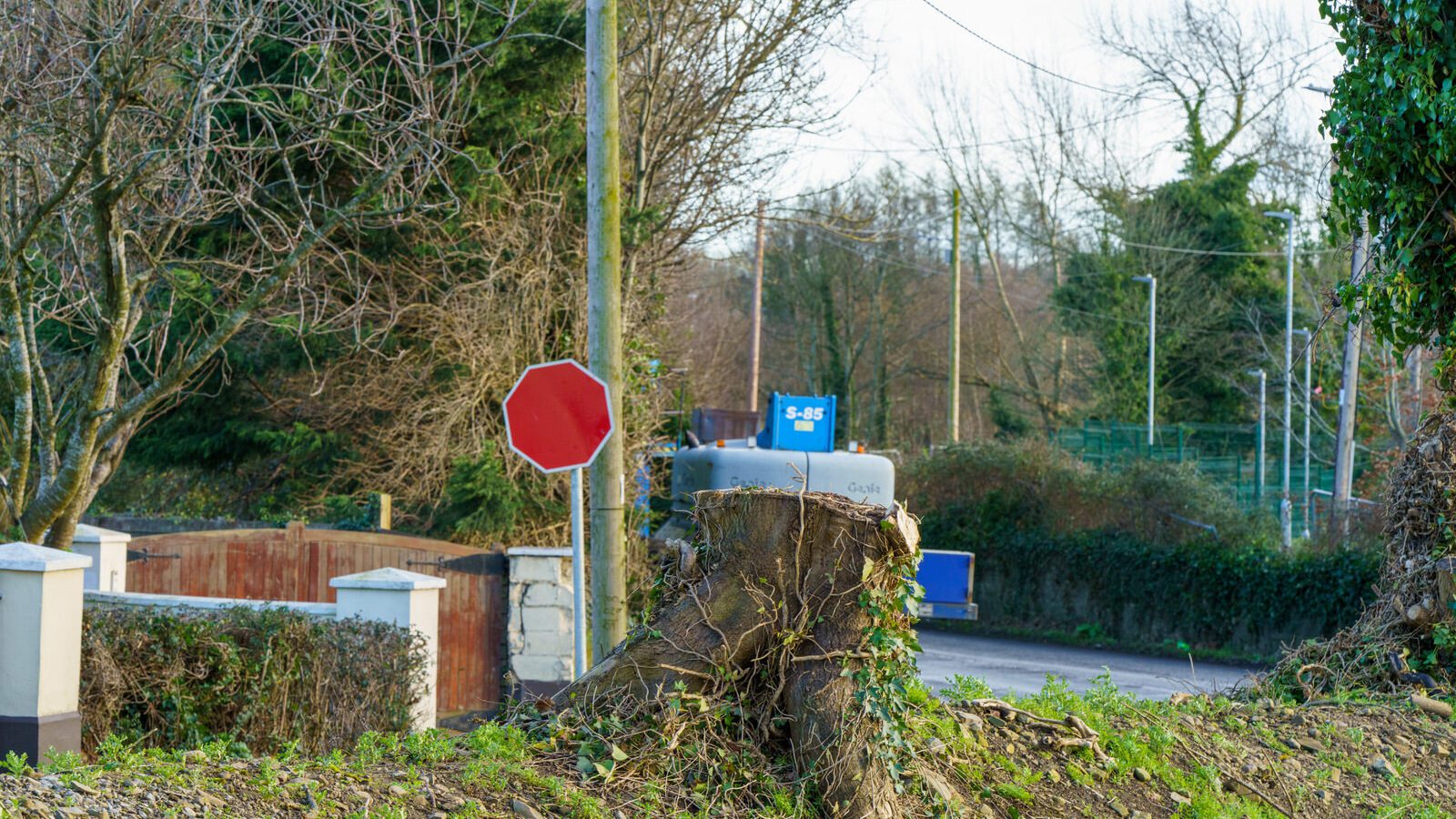 THIS WAS MY FIRST TIME TO VISIT DUNSINEA LANE [ASHTOWN AREA OF DUBLIN]-228922-1