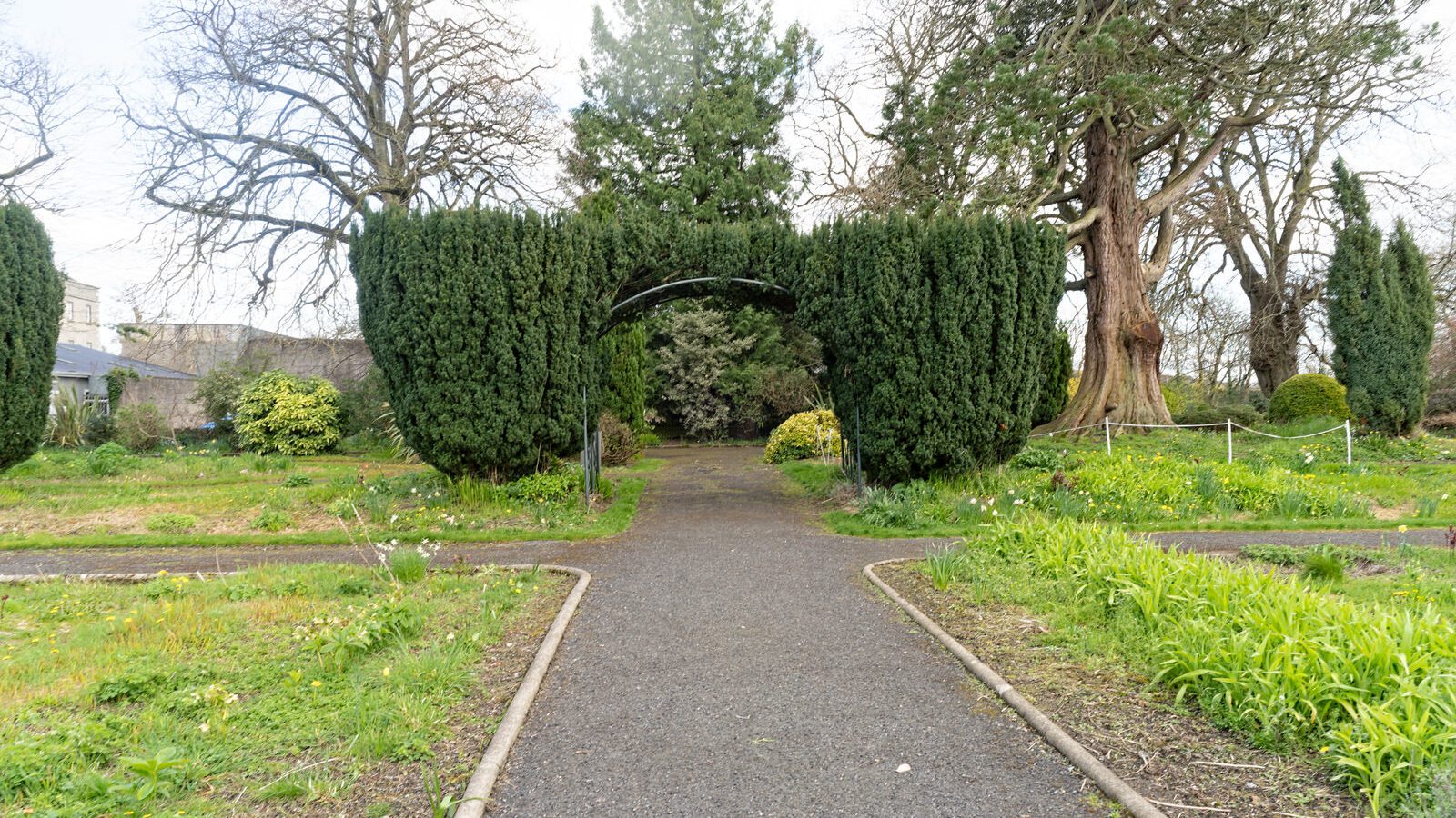 ST PATRICK'S COLLEGE IN MAYNOOTH [COUNTY KILDARE]-223071-1