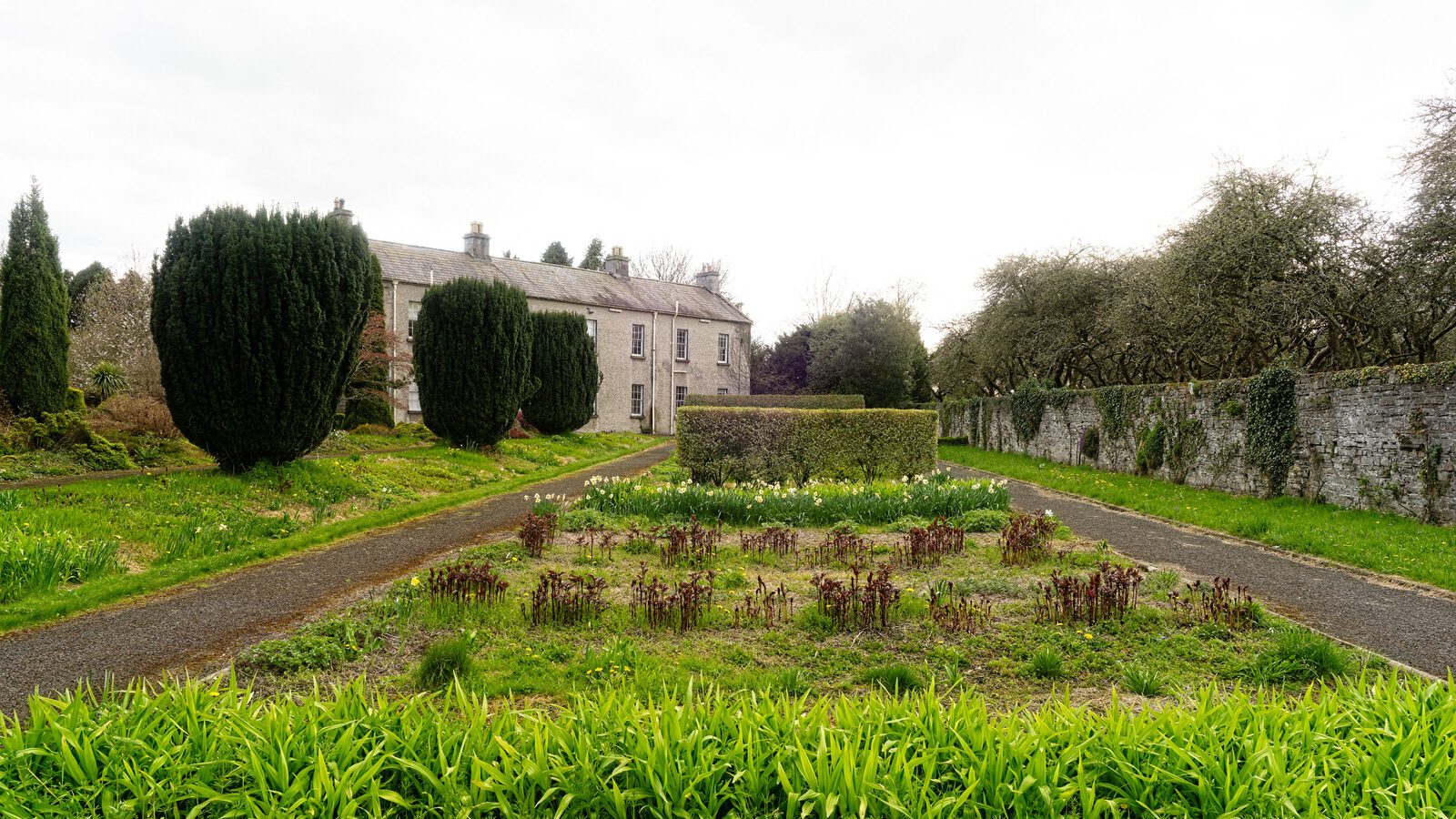 ST PATRICK'S COLLEGE IN MAYNOOTH [COUNTY KILDARE]-223072-1