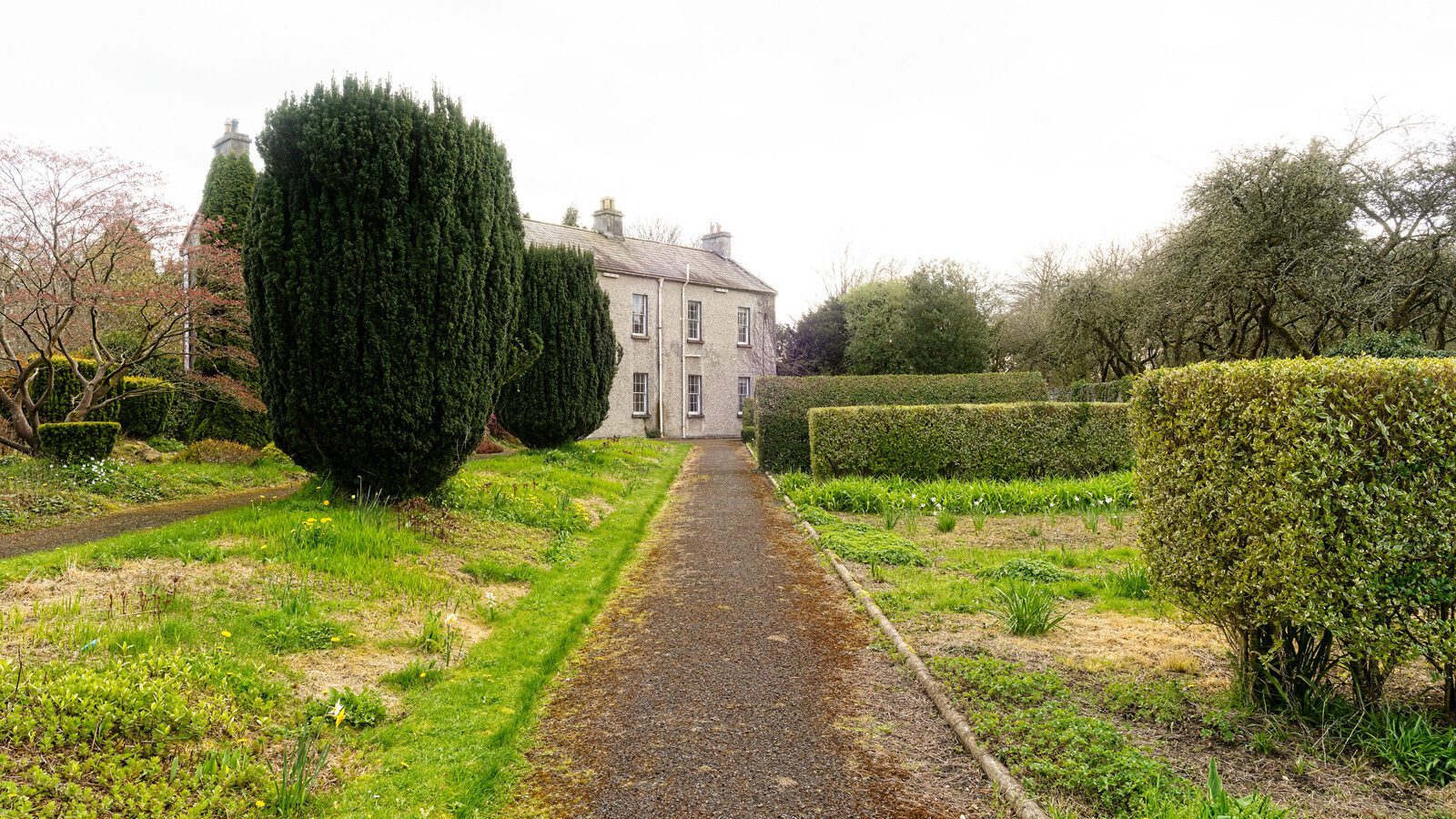 ST PATRICK'S COLLEGE IN MAYNOOTH [COUNTY KILDARE]-223073-1