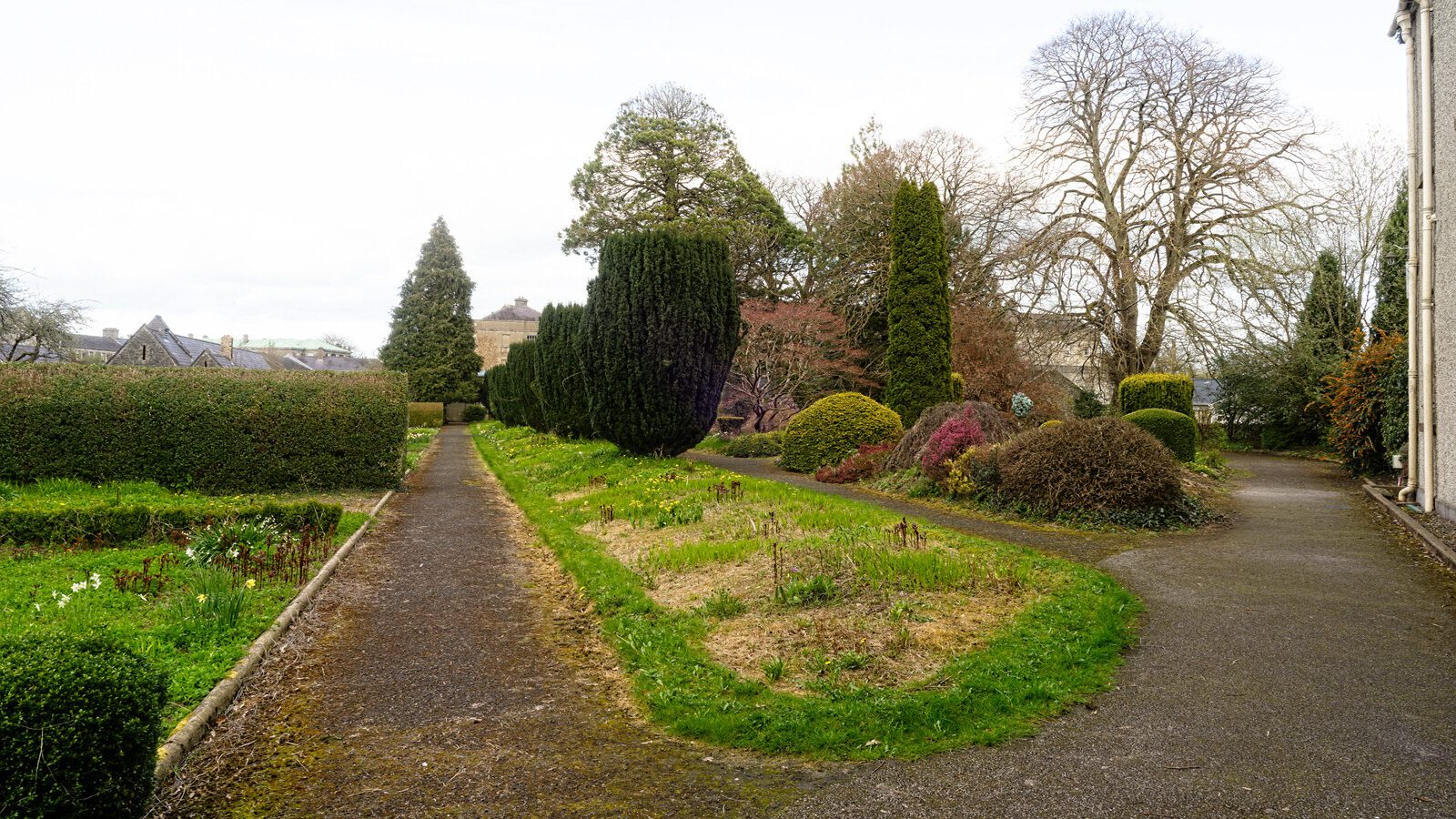 ST PATRICK'S COLLEGE IN MAYNOOTH [COUNTY KILDARE]-223075-1