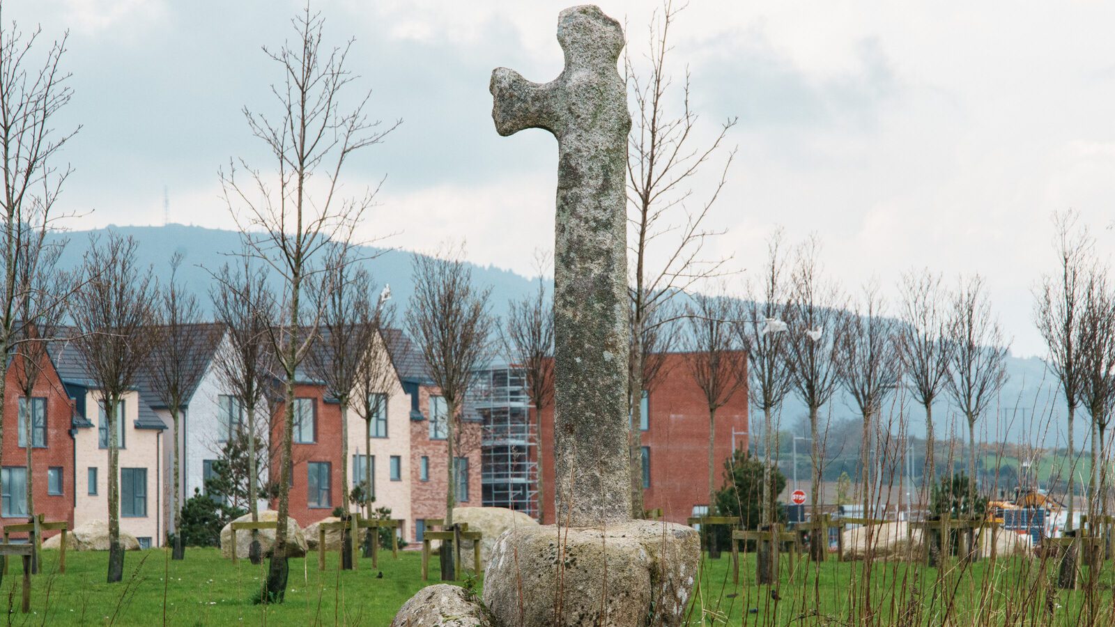 THE LAUGHANSTOWN CROSSES [NEAR TULLY CHURCH]-223534-1