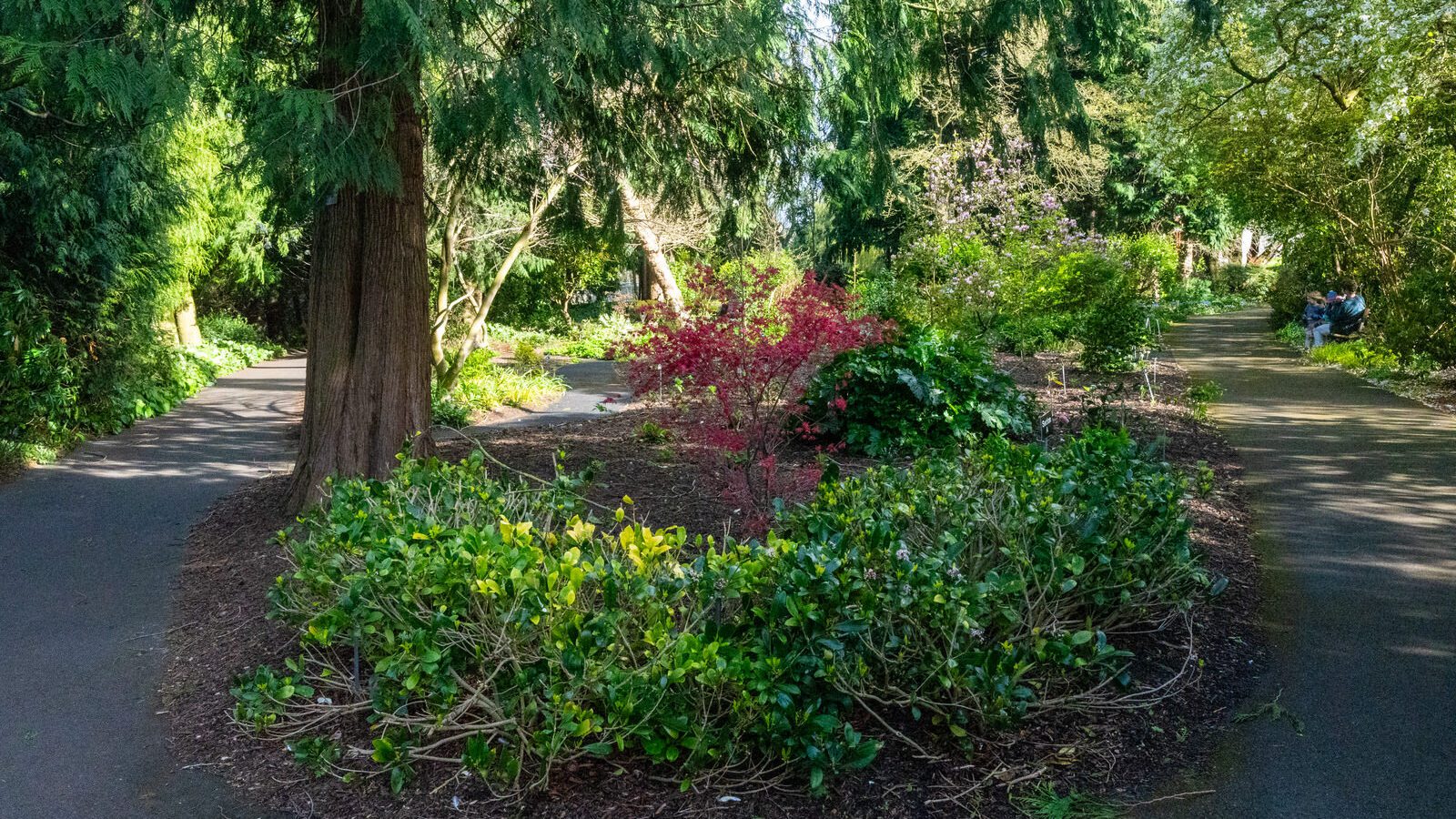 A SPLASH OF COLOUR AT THE BOTANIC GARDENS [DURING STORM KATHLEEN]-223870-1