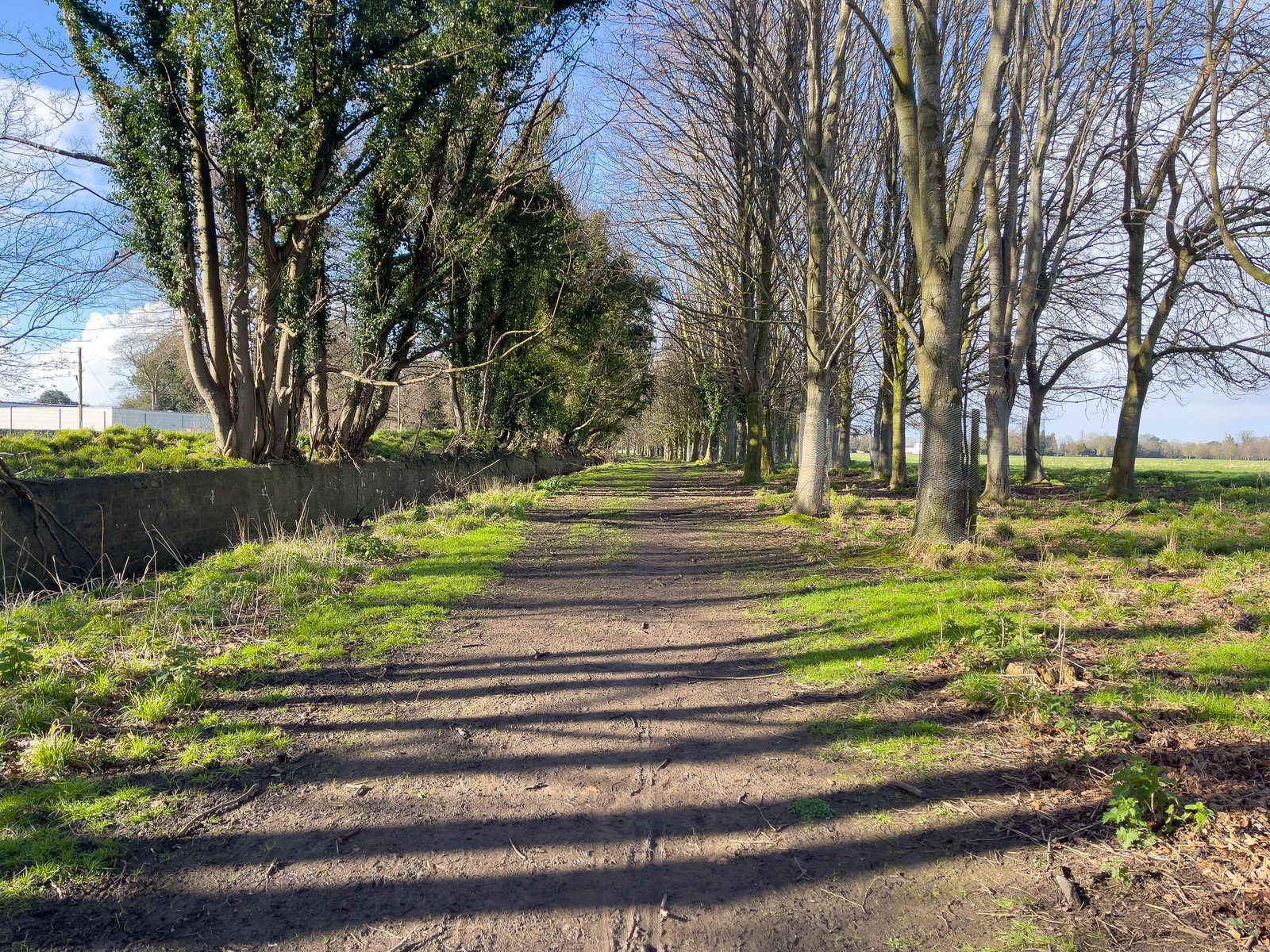 A WALK AROUND THE PERIMETER OF ST MARY'S HOSPITAL [SEEKING THE KNOCKMAREE DOLMEN IN PHOENIX PARK]-231093-1