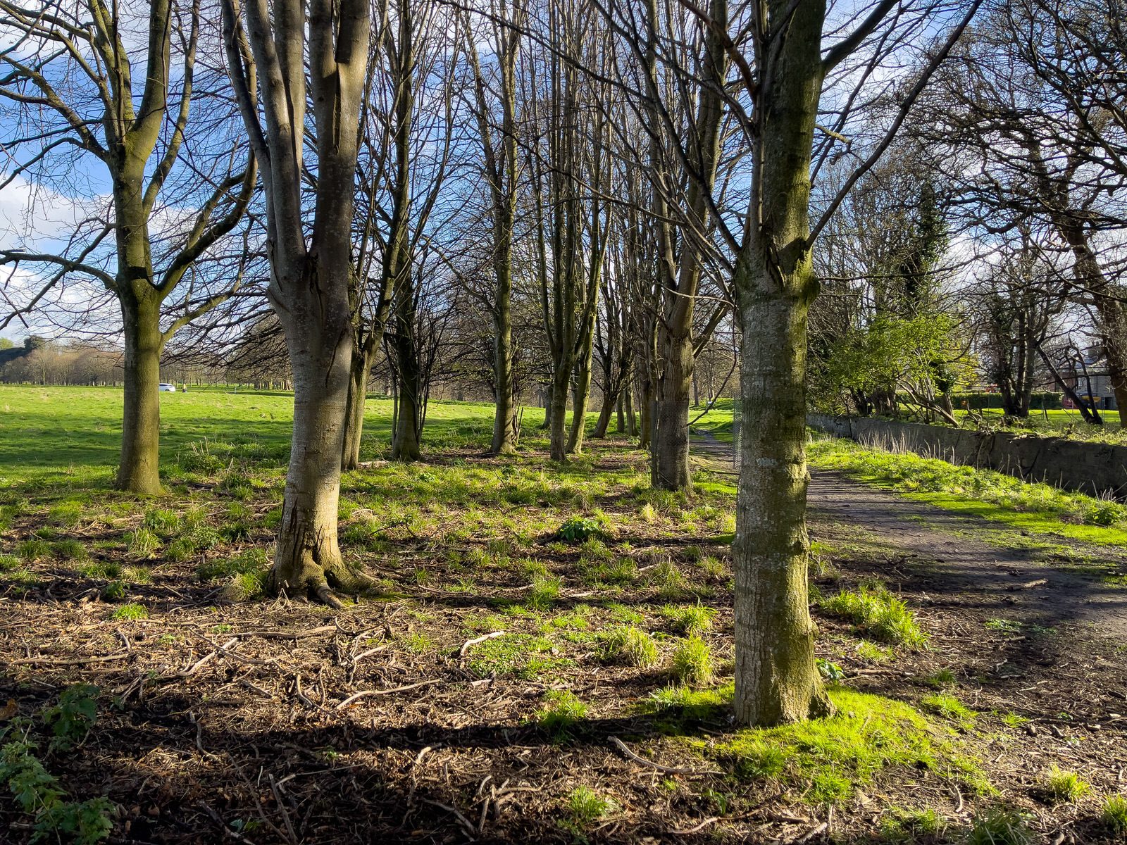 A WALK AROUND THE PERIMETER OF ST MARY'S HOSPITAL [SEEKING THE KNOCKMAREE DOLMEN IN PHOENIX PARK]-231094-1