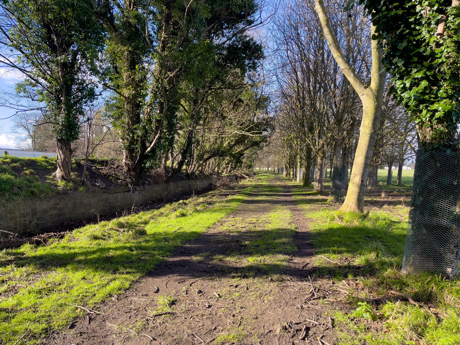 A WALK AROUND THE PERIMETER OF ST MARY'S HOSPITAL [SEEKING THE KNOCKMAREE DOLMEN IN PHOENIX PARK]-231095-1