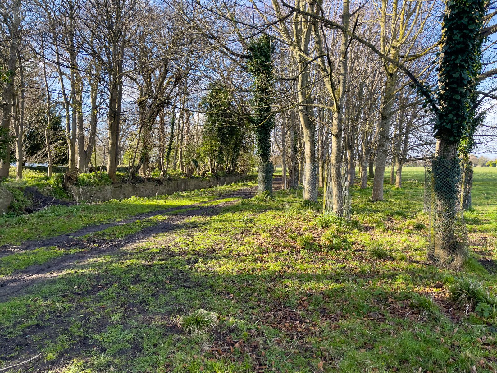 A WALK AROUND THE PERIMETER OF ST MARY'S HOSPITAL [SEEKING THE KNOCKMAREE DOLMEN IN PHOENIX PARK]-231096-1