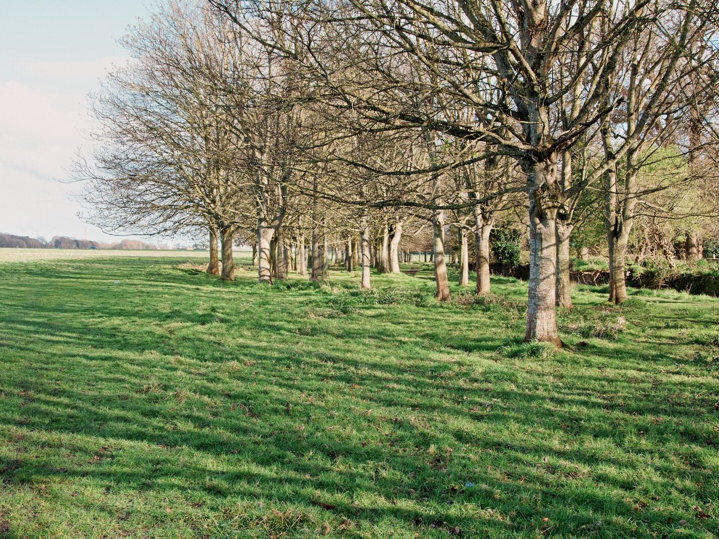 A WALK AROUND THE PERIMETER OF ST MARY'S HOSPITAL [SEEKING THE KNOCKMAREE DOLMEN IN PHOENIX PARK]-231098-1