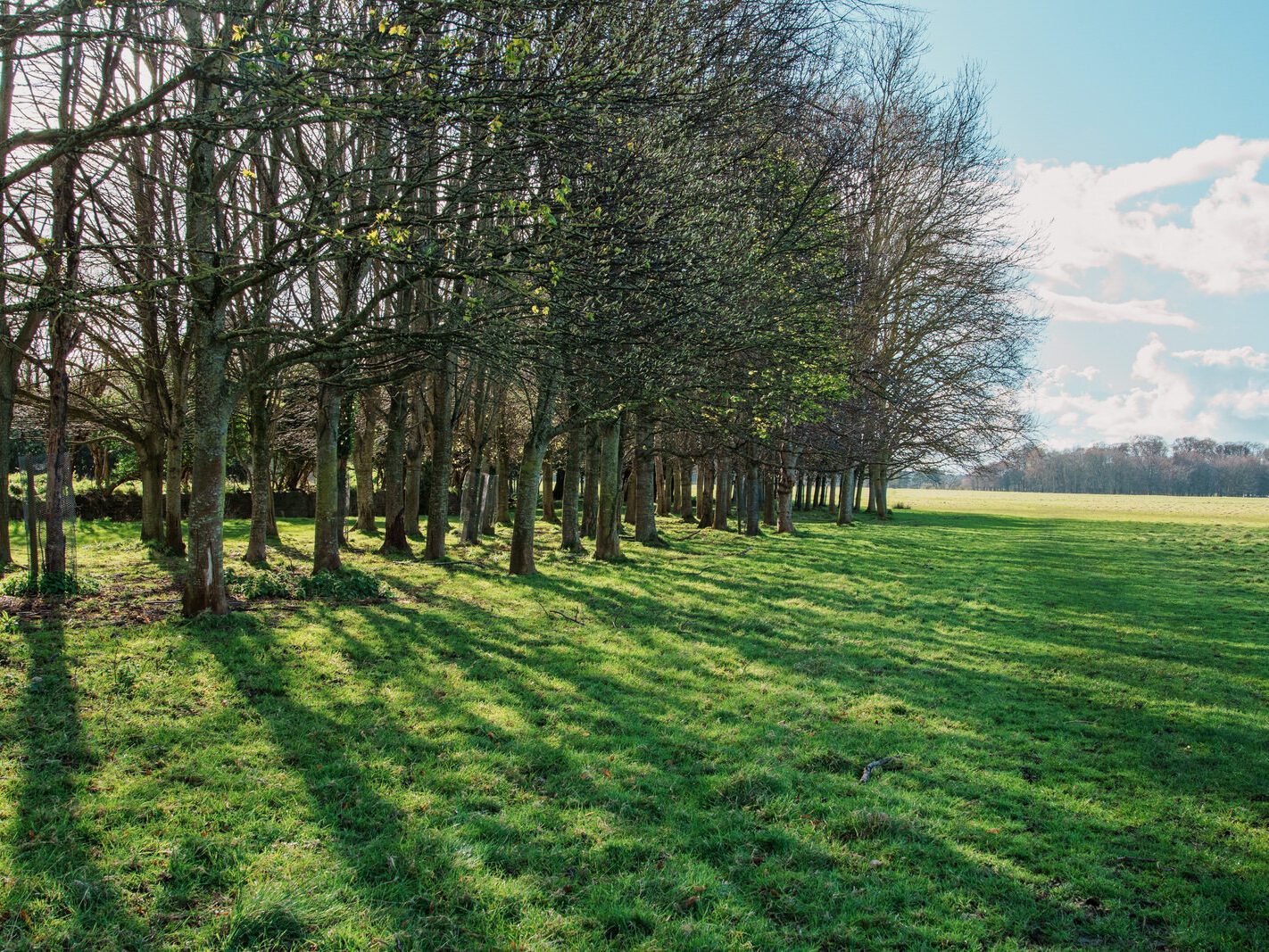 A WALK AROUND THE PERIMETER OF ST MARY'S HOSPITAL [SEEKING THE KNOCKMAREE DOLMEN IN PHOENIX PARK]-231099-1