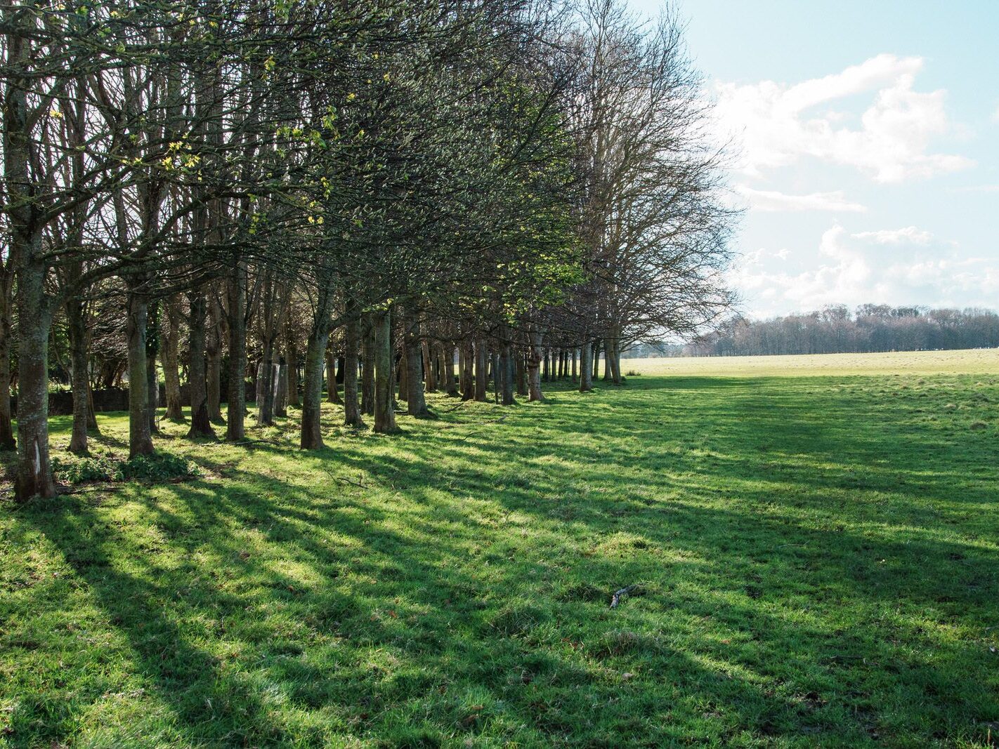 A WALK AROUND THE PERIMETER OF ST MARY'S HOSPITAL [SEEKING THE KNOCKMAREE DOLMEN IN PHOENIX PARK]-231100-1