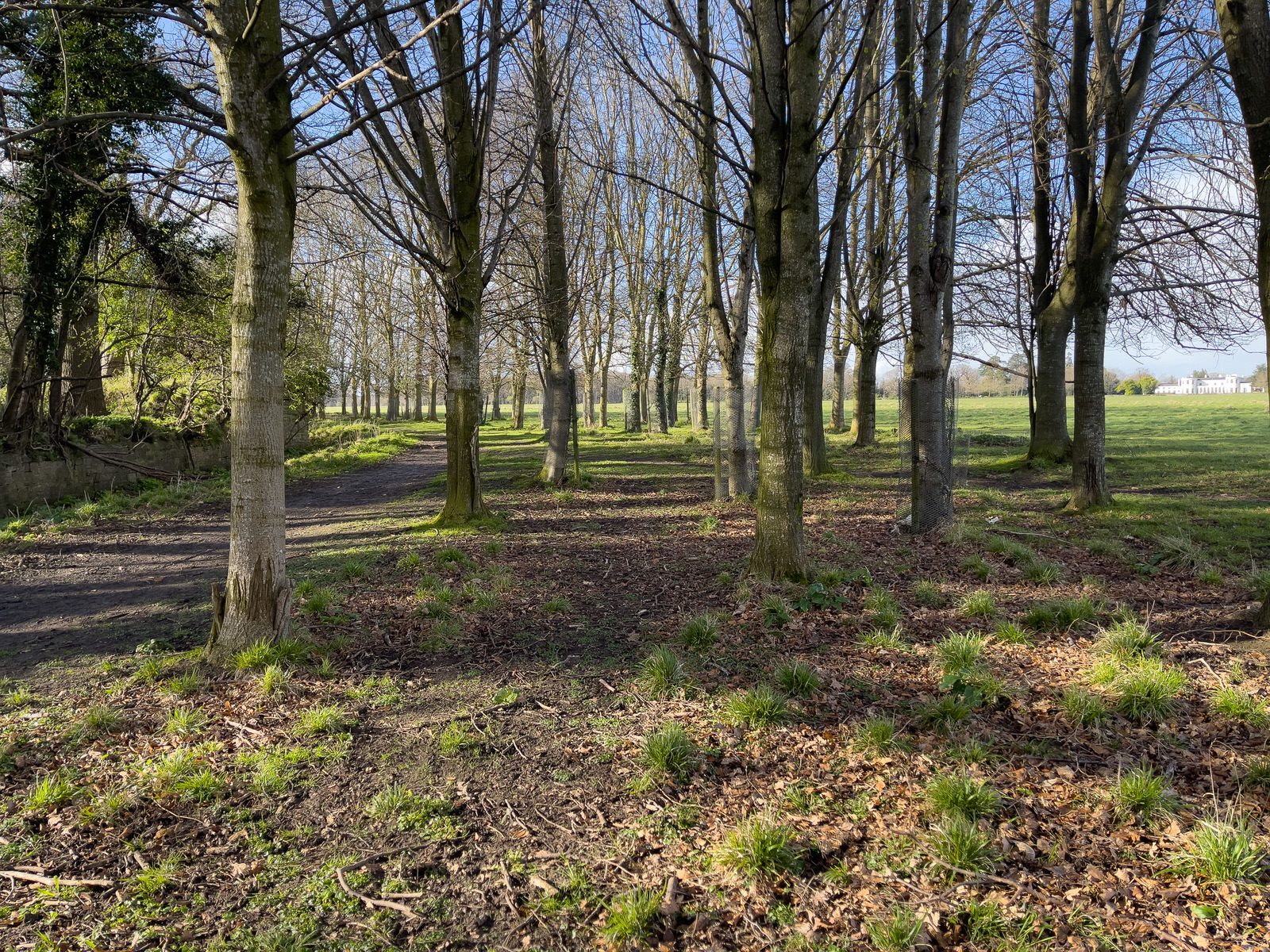 A WALK AROUND THE PERIMETER OF ST MARY'S HOSPITAL [SEEKING THE KNOCKMAREE DOLMEN IN PHOENIX PARK]-231101-1