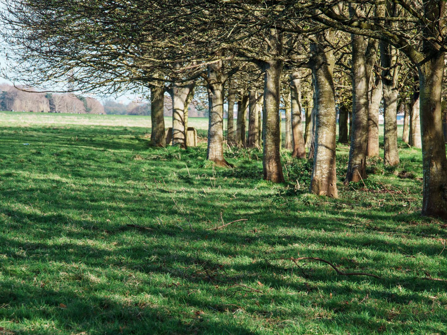 A WALK AROUND THE PERIMETER OF ST MARY'S HOSPITAL [SEEKING THE KNOCKMAREE DOLMEN IN PHOENIX PARK]-231102-1