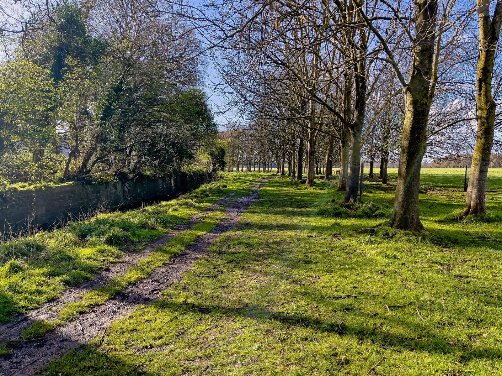 A WALK AROUND THE PERIMETER OF ST MARY'S HOSPITAL [SEEKING THE KNOCKMAREE DOLMEN IN PHOENIX PARK]-231103-1