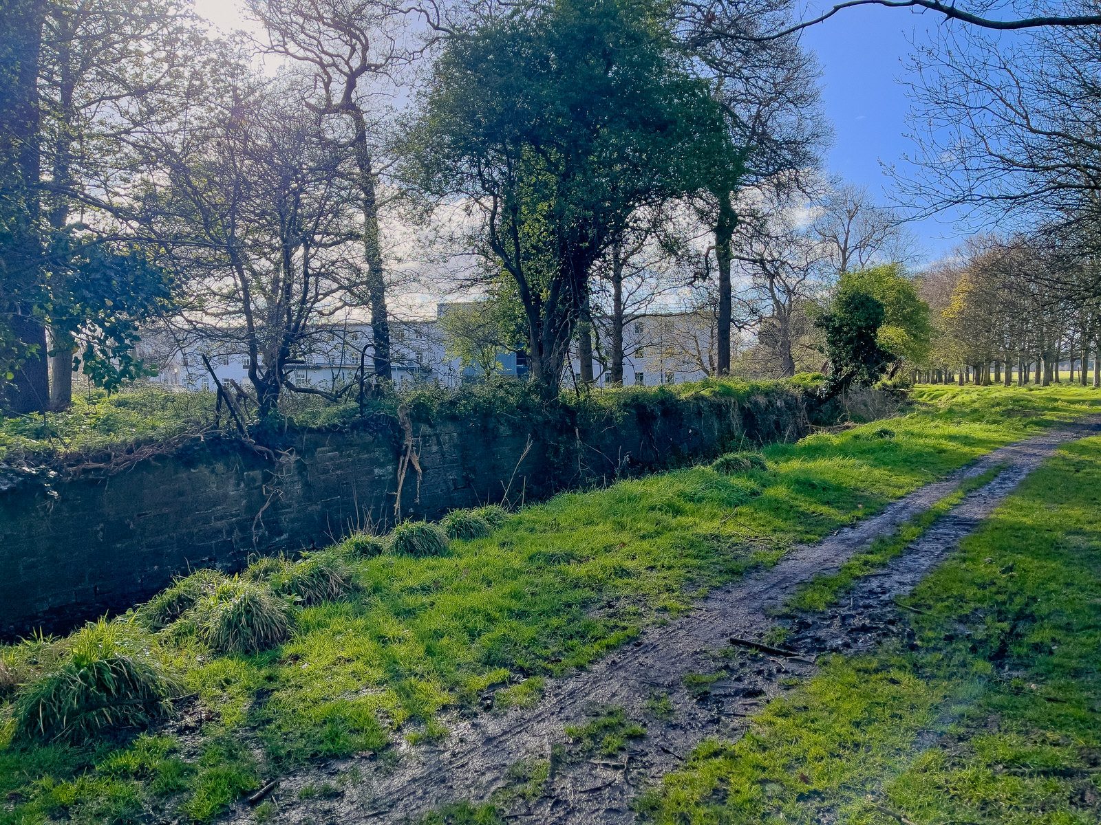 A WALK AROUND THE PERIMETER OF ST MARY'S HOSPITAL [SEEKING THE KNOCKMAREE DOLMEN IN PHOENIX PARK]-231105-1