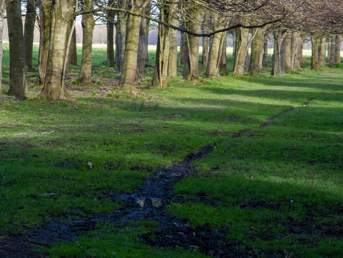 A WALK AROUND THE PERIMETER OF ST MARY'S HOSPITAL [SEEKING THE KNOCKMAREE DOLMEN IN PHOENIX PARK]-231106-1