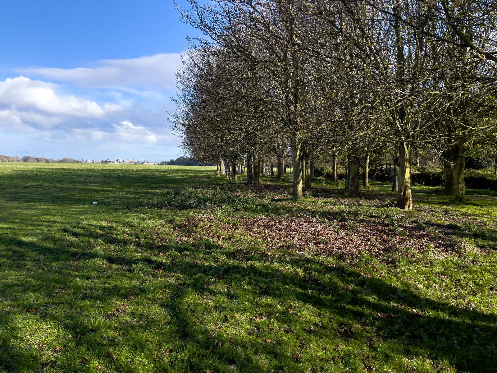 A WALK AROUND THE PERIMETER OF ST MARY'S HOSPITAL [SEEKING THE KNOCKMAREE DOLMEN IN PHOENIX PARK]-231107-1