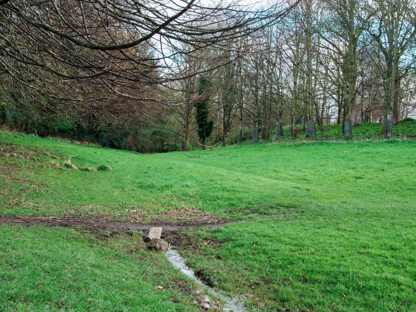 A WALK AROUND THE PERIMETER OF ST MARY'S HOSPITAL [SEEKING THE KNOCKMAREE DOLMEN IN PHOENIX PARK]-231110-1