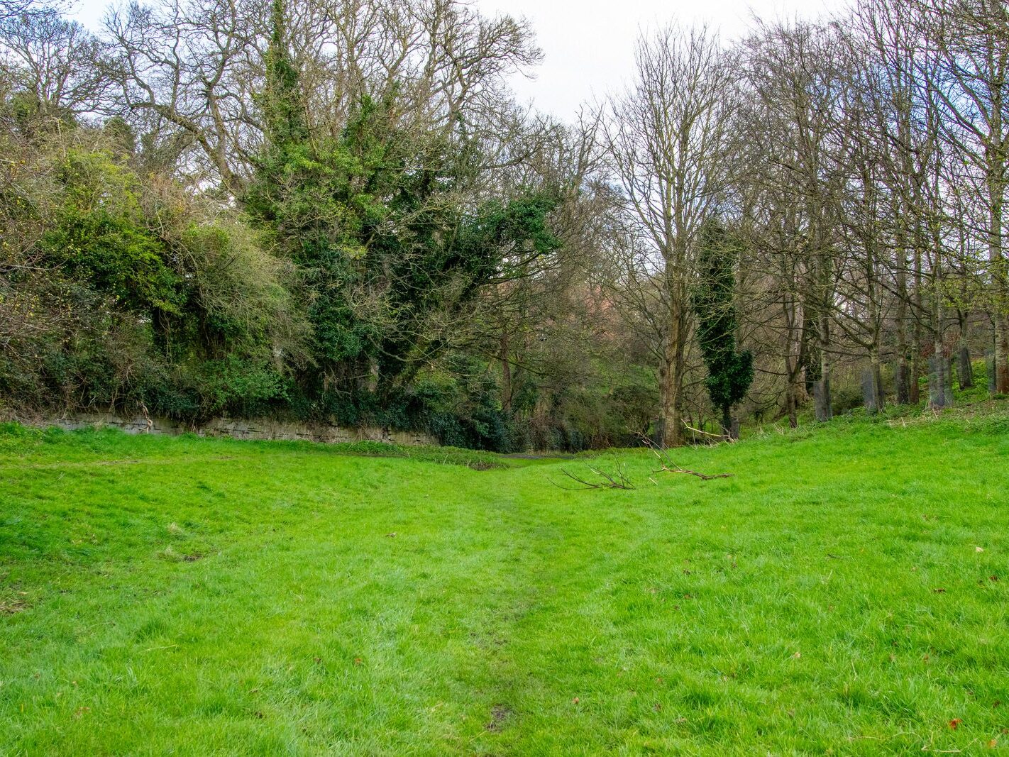 A WALK AROUND THE PERIMETER OF ST MARY'S HOSPITAL [SEEKING THE KNOCKMAREE DOLMEN IN PHOENIX PARK]-231111-1