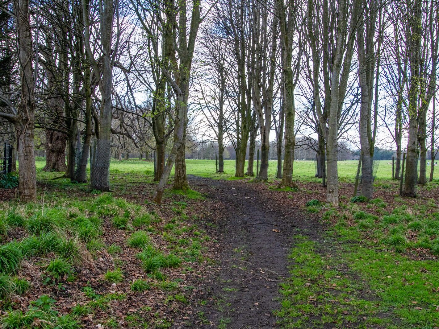 A WALK AROUND THE PERIMETER OF ST MARY'S HOSPITAL [SEEKING THE KNOCKMAREE DOLMEN IN PHOENIX PARK]-231112-1