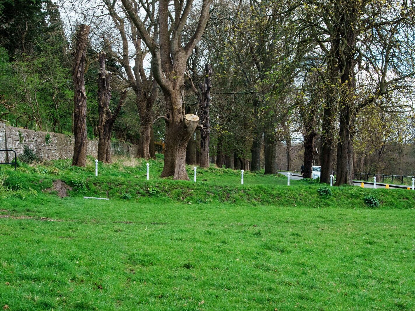 A WALK AROUND THE PERIMETER OF ST MARY'S HOSPITAL [SEEKING THE KNOCKMAREE DOLMEN IN PHOENIX PARK]-231116-1