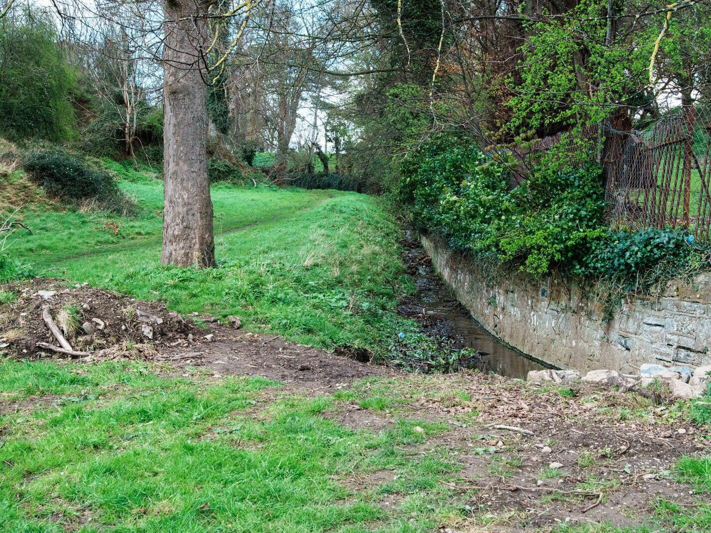 A WALK AROUND THE PERIMETER OF ST MARY'S HOSPITAL [SEEKING THE KNOCKMAREE DOLMEN IN PHOENIX PARK]-231117-1