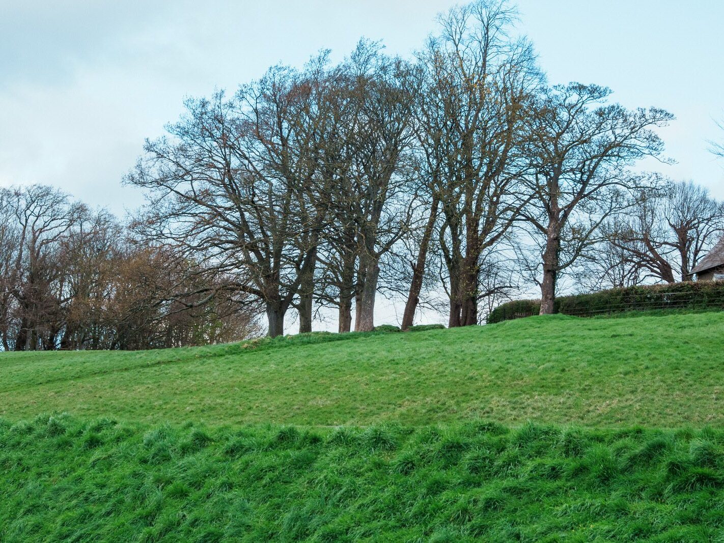 A WALK AROUND THE PERIMETER OF ST MARY'S HOSPITAL [SEEKING THE KNOCKMAREE DOLMEN IN PHOENIX PARK]-231122-1