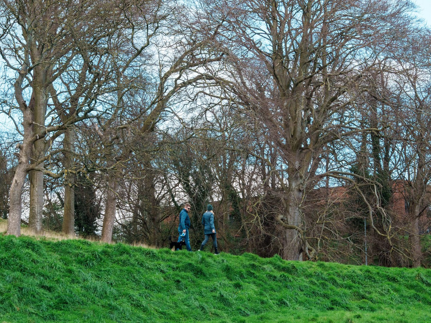 A WALK AROUND THE PERIMETER OF ST MARY'S HOSPITAL [SEEKING THE KNOCKMAREE DOLMEN IN PHOENIX PARK]-231123-1