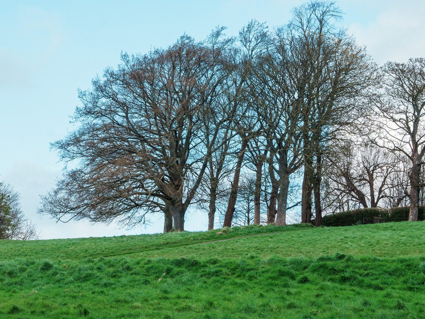 A WALK AROUND THE PERIMETER OF ST MARY'S HOSPITAL [SEEKING THE KNOCKMAREE DOLMEN IN PHOENIX PARK]-231124-1