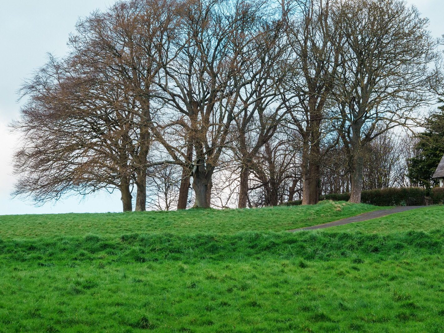 A WALK AROUND THE PERIMETER OF ST MARY'S HOSPITAL [SEEKING THE KNOCKMAREE DOLMEN IN PHOENIX PARK]-231126-1