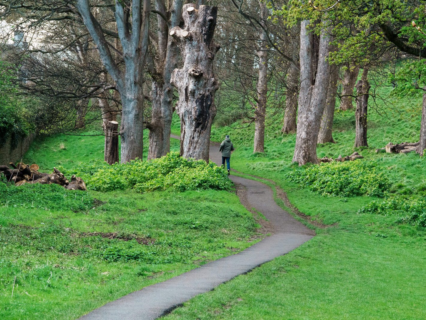 A WALK AROUND THE PERIMETER OF ST MARY'S HOSPITAL [SEEKING THE KNOCKMAREE DOLMEN IN PHOENIX PARK]-231127-1