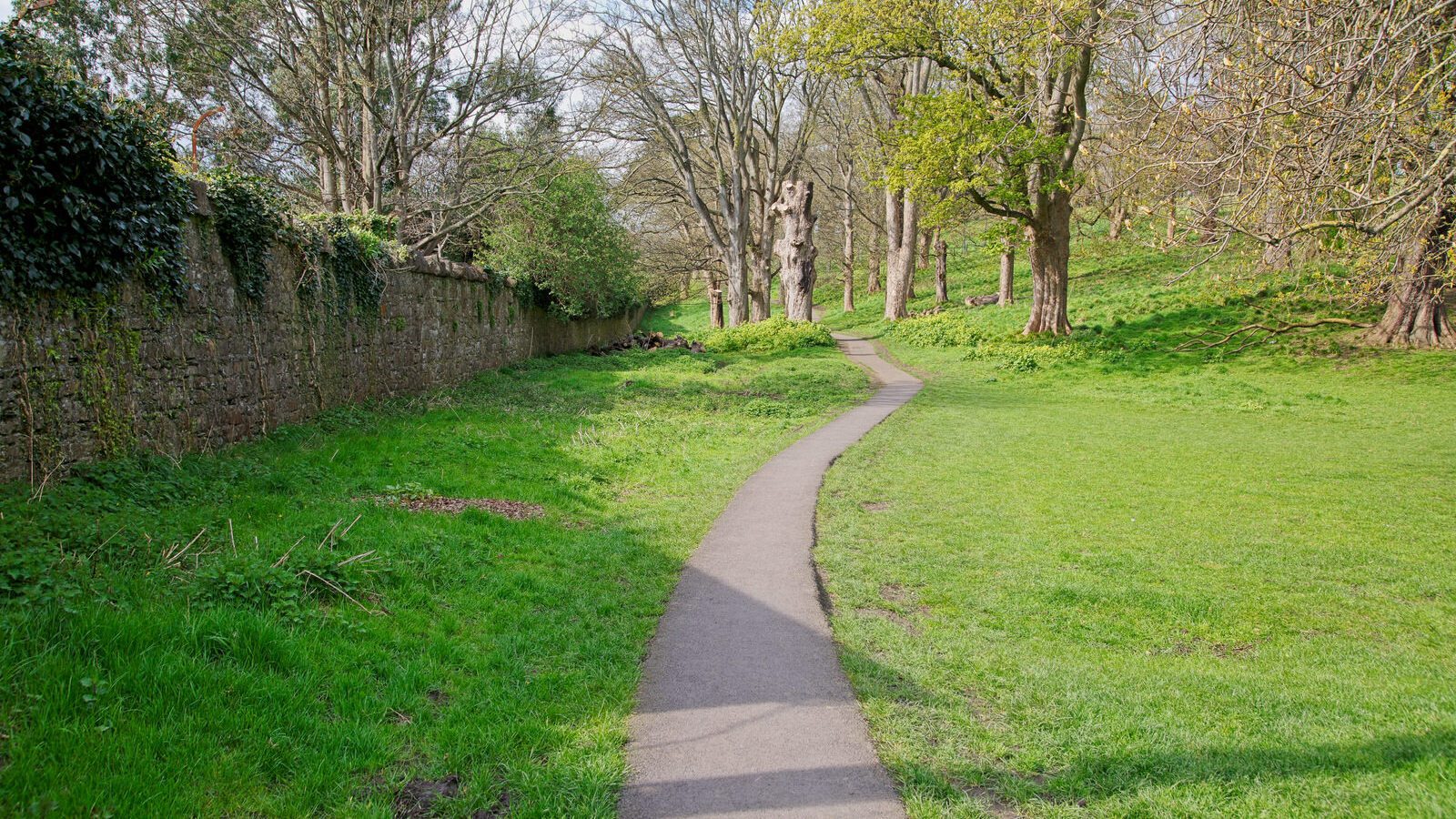 LOWER GLEN ROAD IN PHOENIX PARK [ON ROUTE TO THE FURRY GLEN]-223659-1