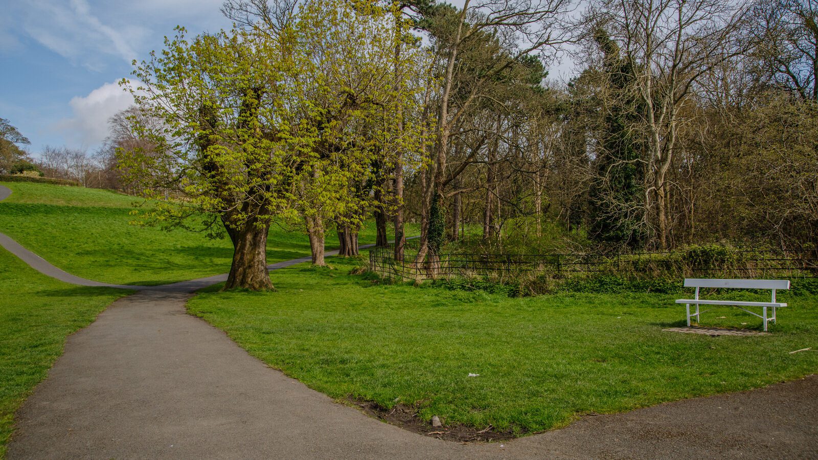 LOWER GLEN ROAD IN PHOENIX PARK [ON ROUTE TO THE FURRY GLEN]-223660-1