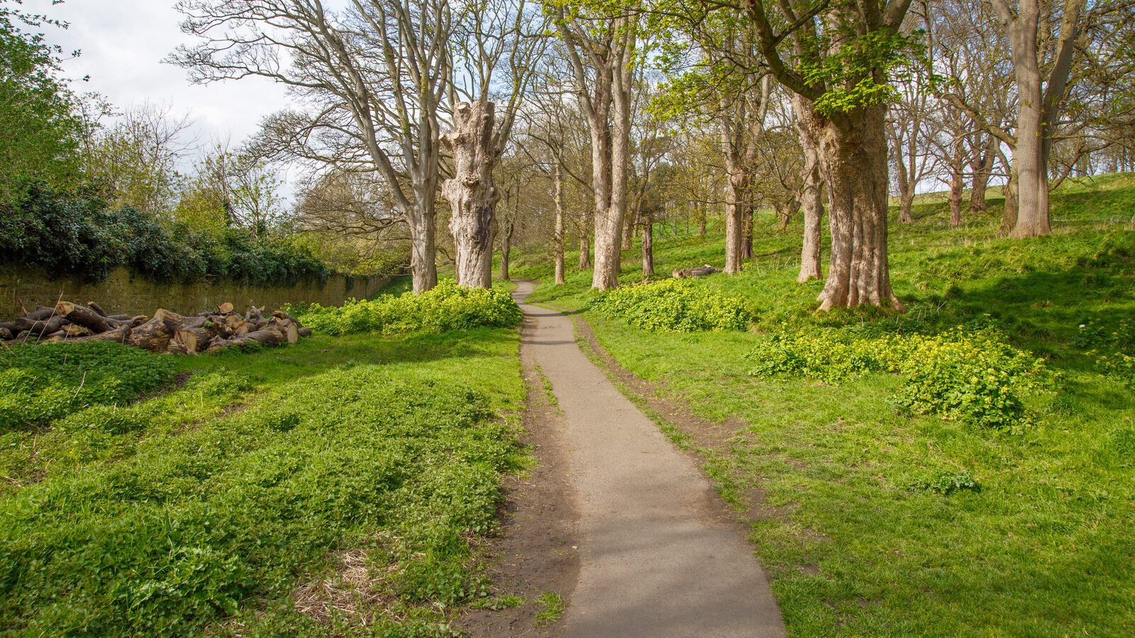 LOWER GLEN ROAD IN PHOENIX PARK [ON ROUTE TO THE FURRY GLEN]-223661-1