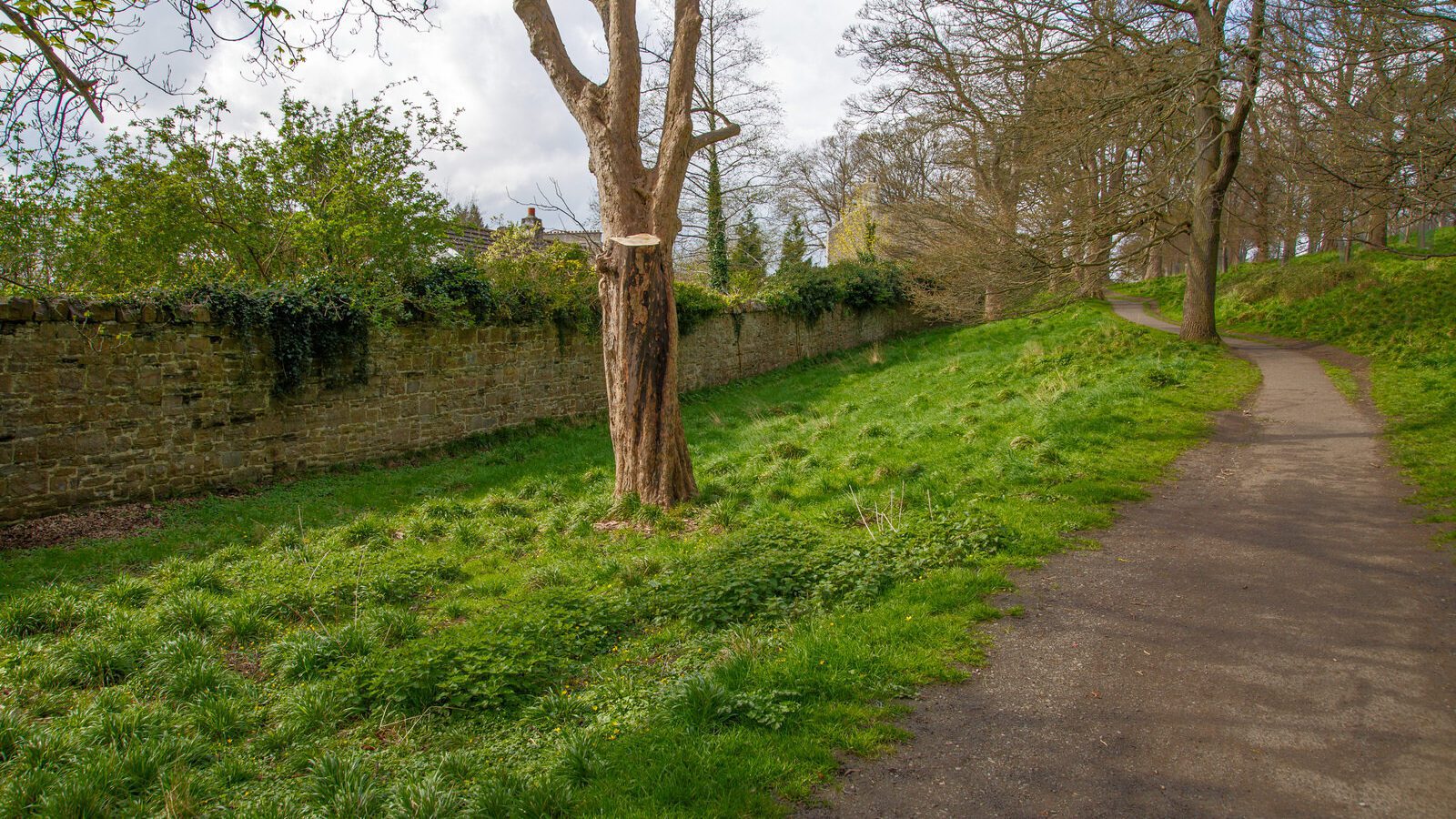 LOWER GLEN ROAD IN PHOENIX PARK [ON ROUTE TO THE FURRY GLEN]-223667-1