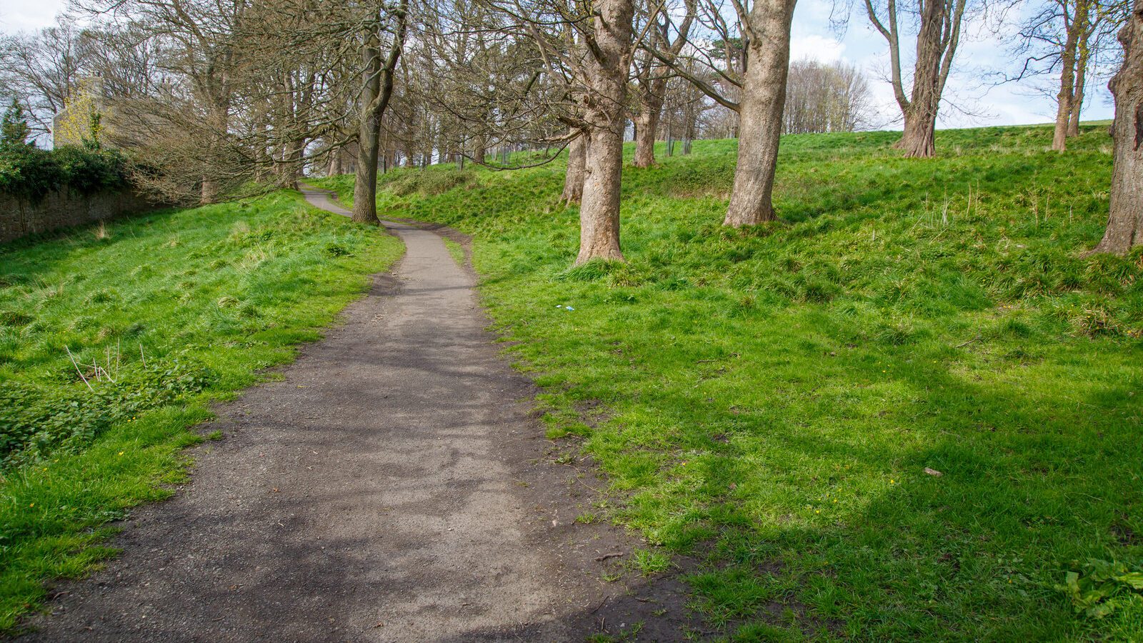 LOWER GLEN ROAD IN PHOENIX PARK [ON ROUTE TO THE FURRY GLEN]-223668-1