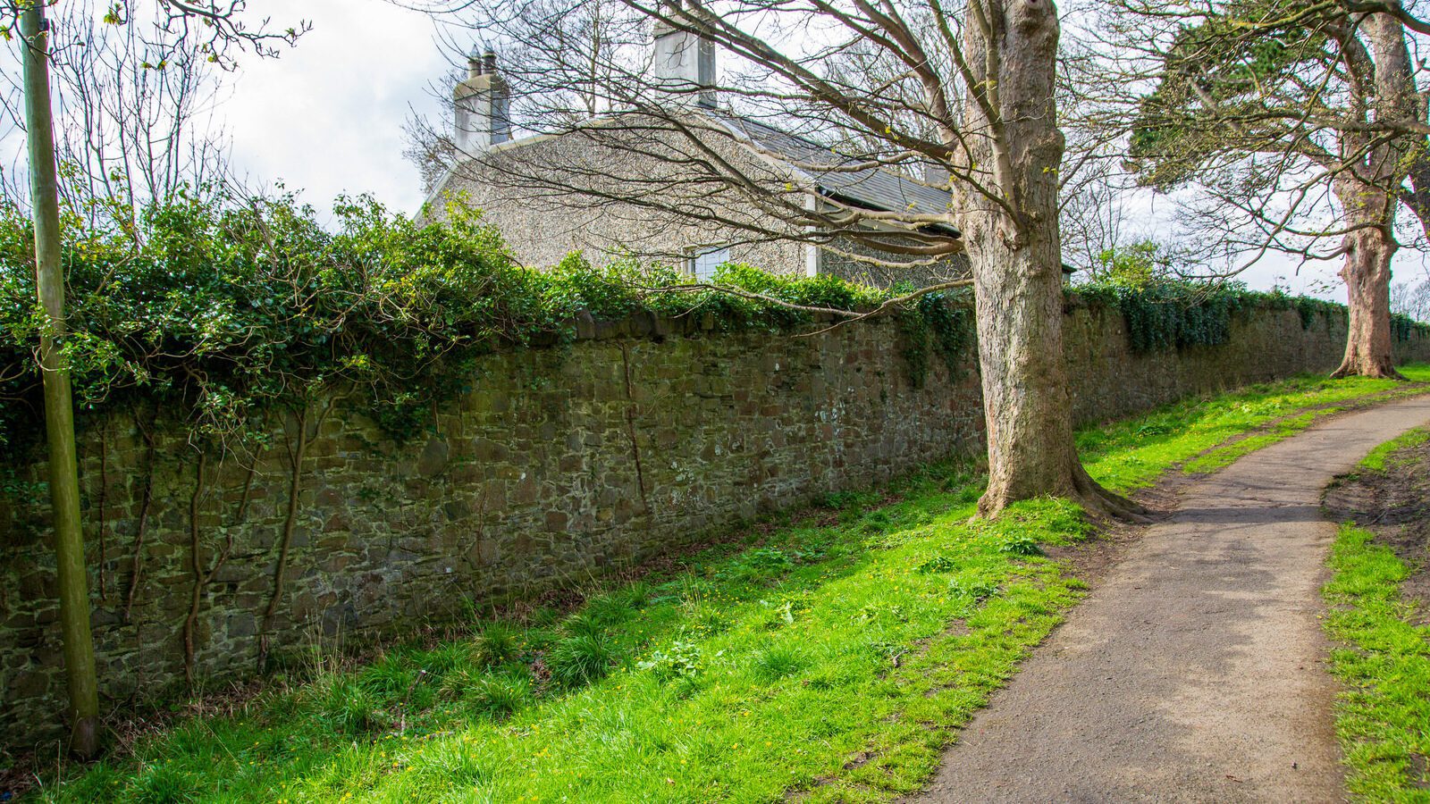 LOWER GLEN ROAD IN PHOENIX PARK [ON ROUTE TO THE FURRY GLEN]-223669-1