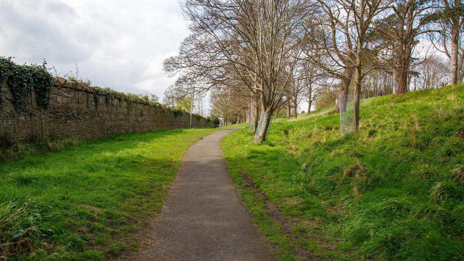 LOWER GLEN ROAD IN PHOENIX PARK [ON ROUTE TO THE FURRY GLEN]-223670-1