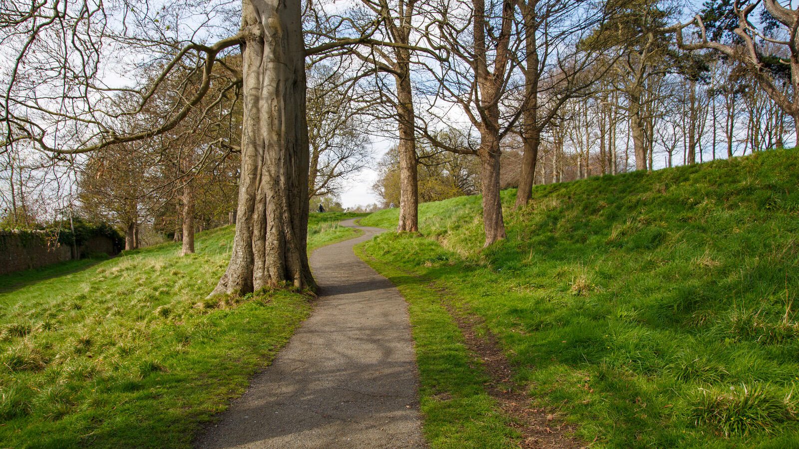 LOWER GLEN ROAD IN PHOENIX PARK [ON ROUTE TO THE FURRY GLEN]-223671-1