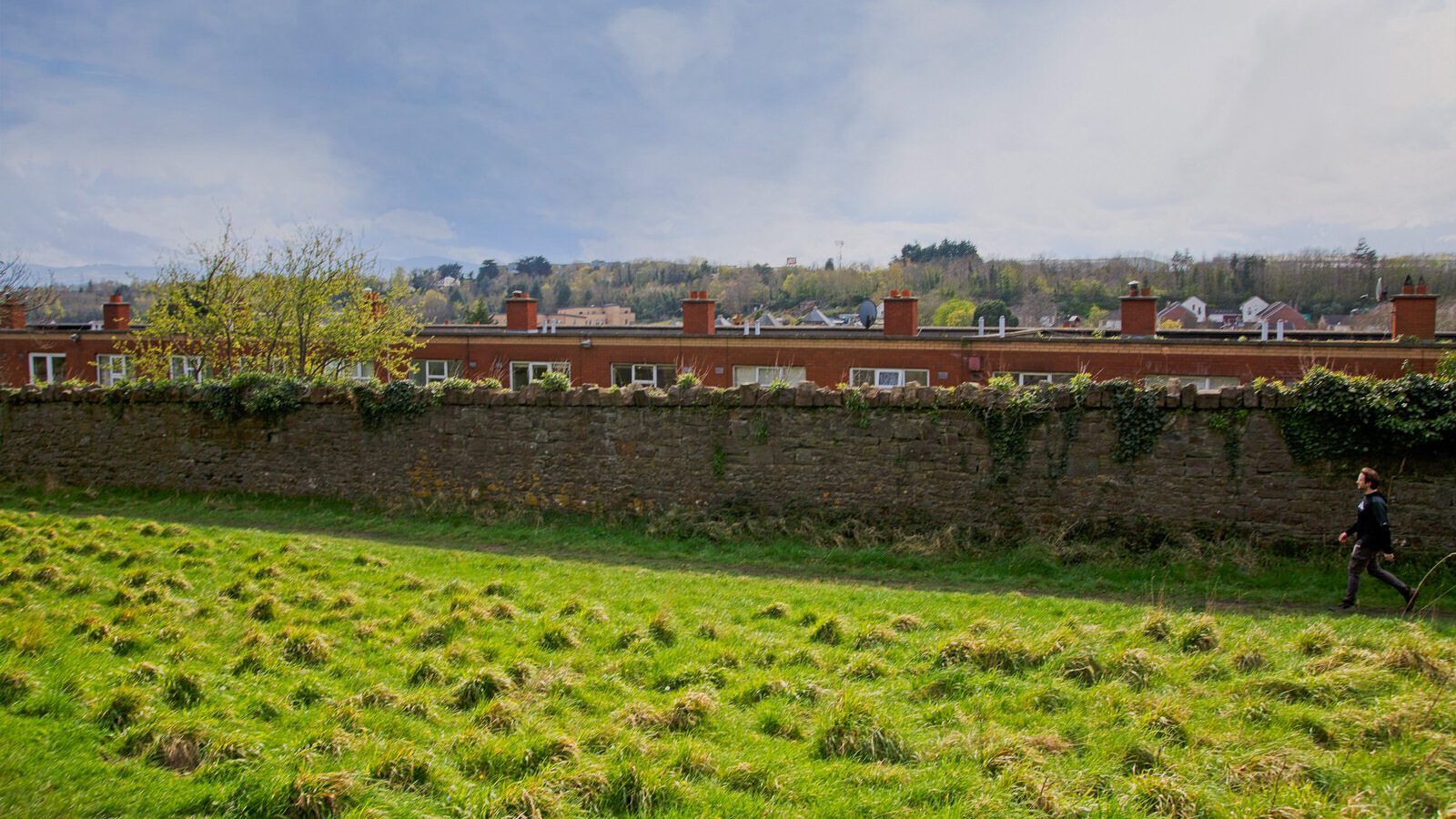 LOWER GLEN ROAD IN PHOENIX PARK [ON ROUTE TO THE FURRY GLEN]-223672-1