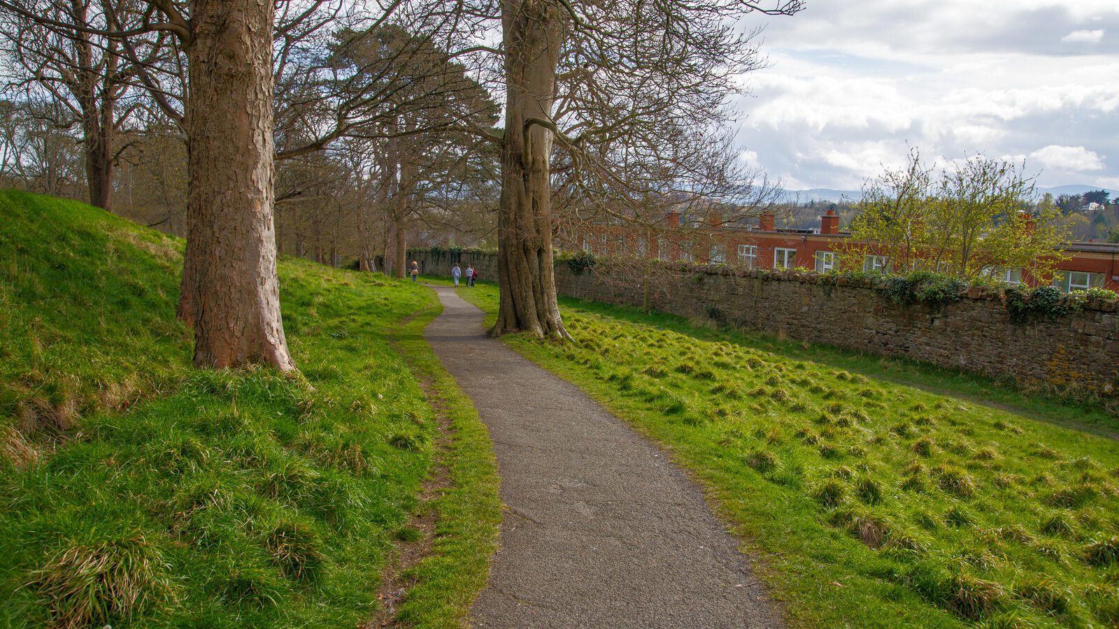 LOWER GLEN ROAD IN PHOENIX PARK [ON ROUTE TO THE FURRY GLEN]-223673-1