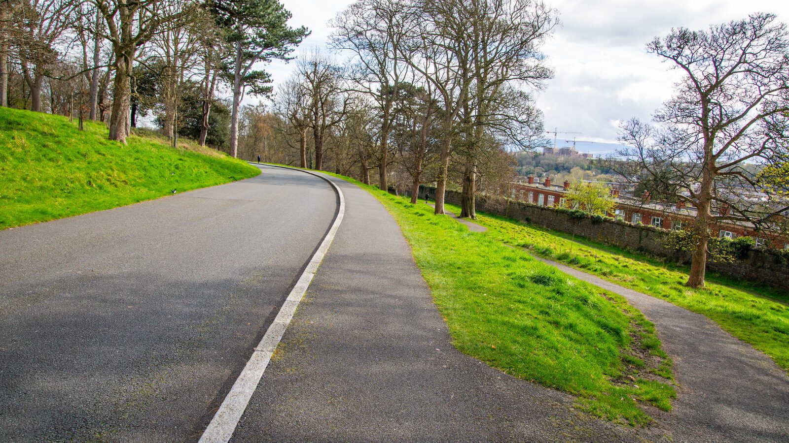 LOWER GLEN ROAD IN PHOENIX PARK [ON ROUTE TO THE FURRY GLEN]-223674-1