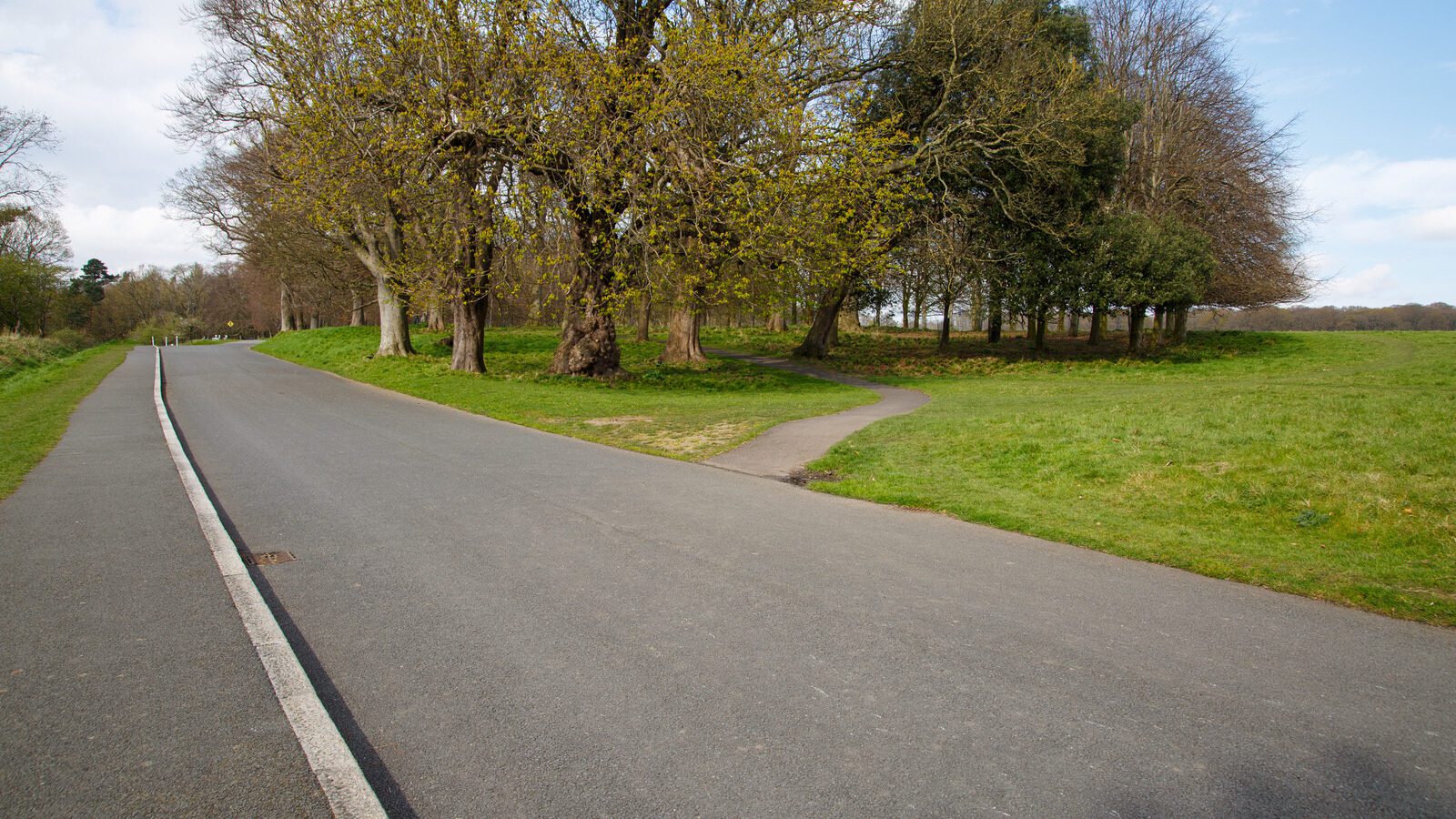 LOWER GLEN ROAD IN PHOENIX PARK [ON ROUTE TO THE FURRY GLEN]-223675-1