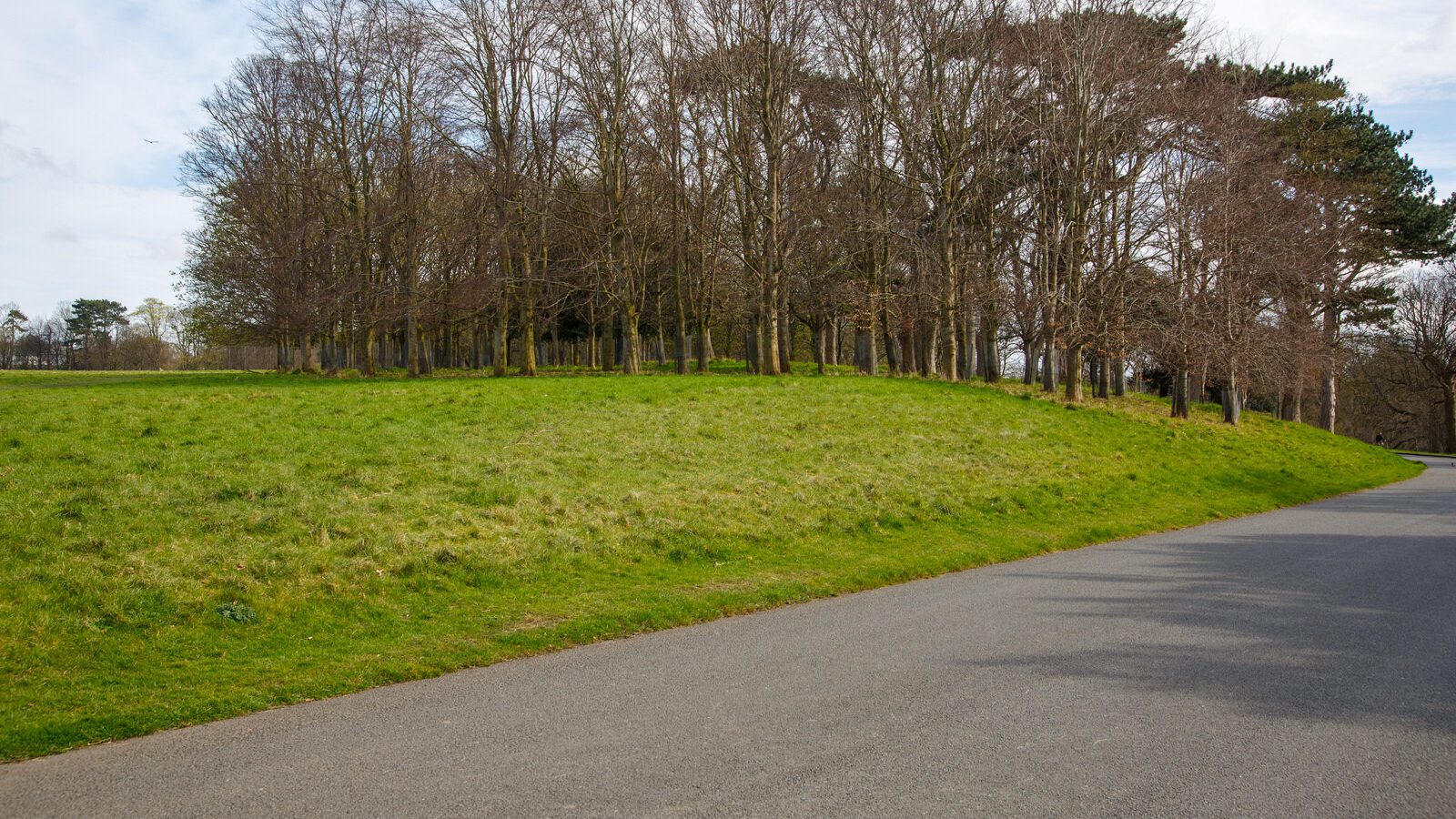 LOWER GLEN ROAD IN PHOENIX PARK [ON ROUTE TO THE FURRY GLEN]-223677-1