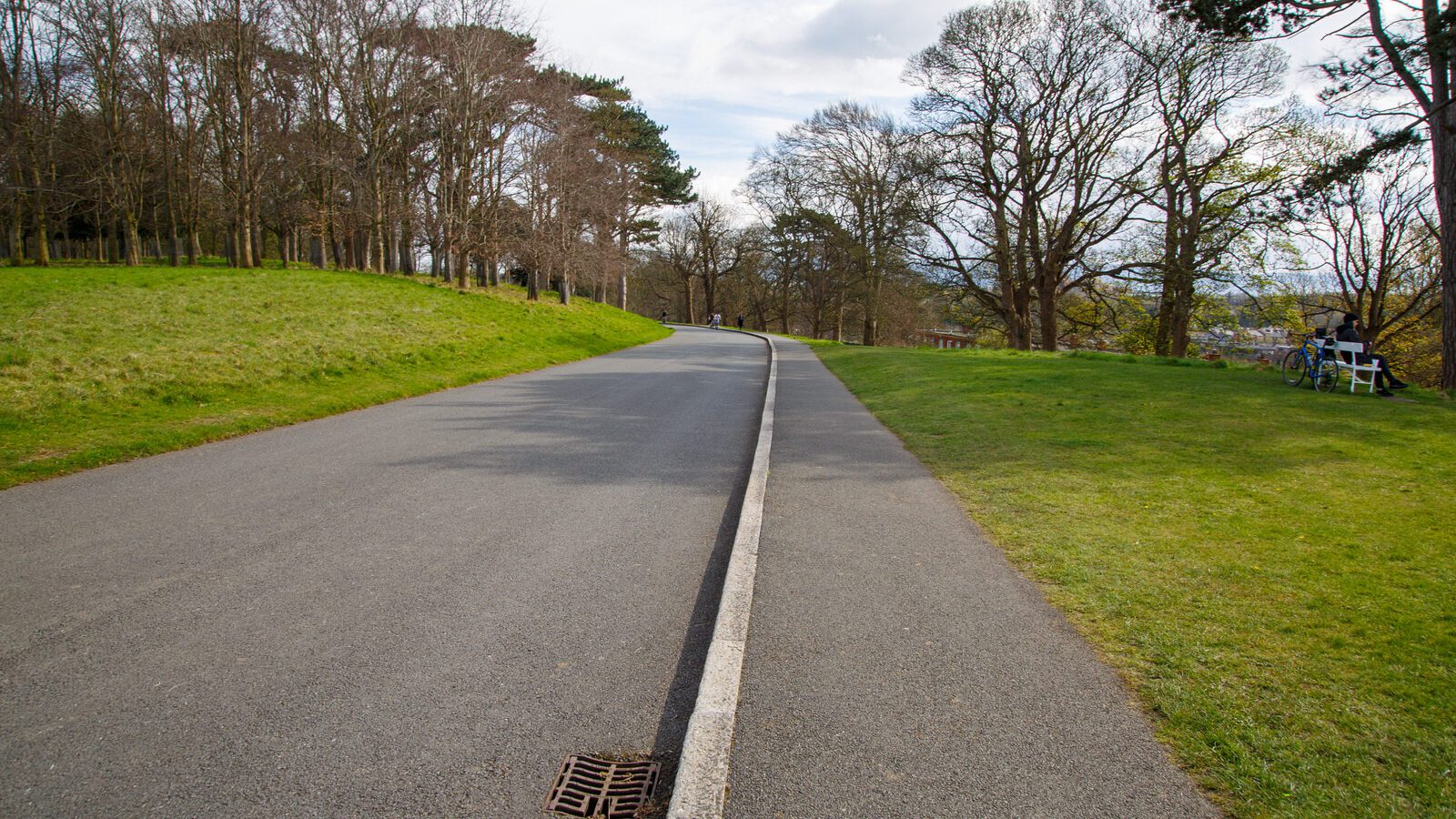 LOWER GLEN ROAD IN PHOENIX PARK [ON ROUTE TO THE FURRY GLEN]-223678-1