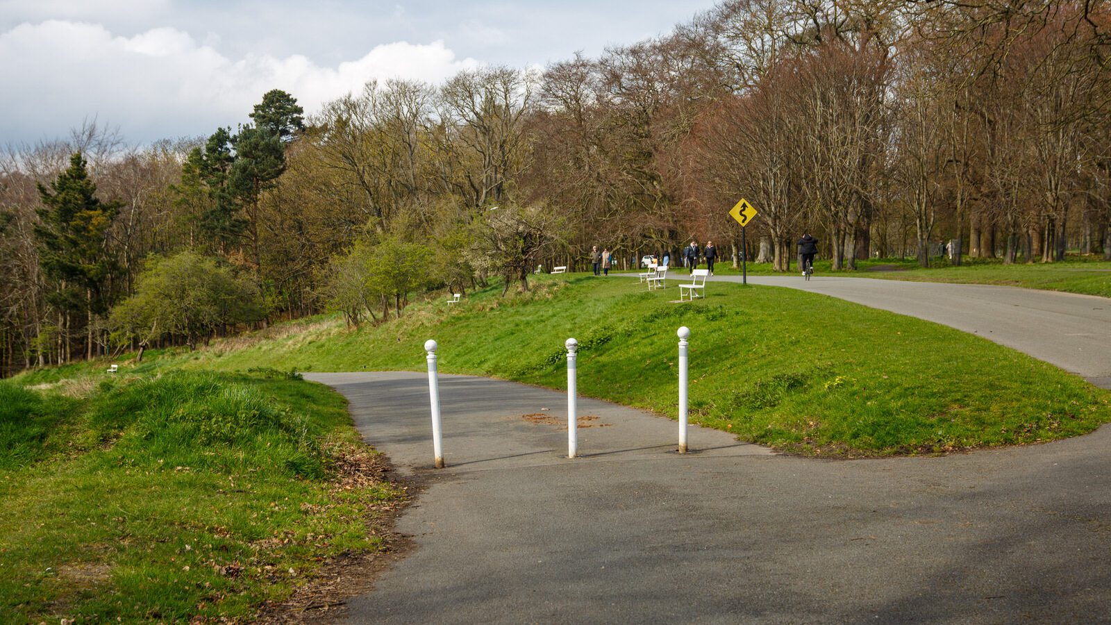 LOWER GLEN ROAD IN PHOENIX PARK [ON ROUTE TO THE FURRY GLEN]-223681-1