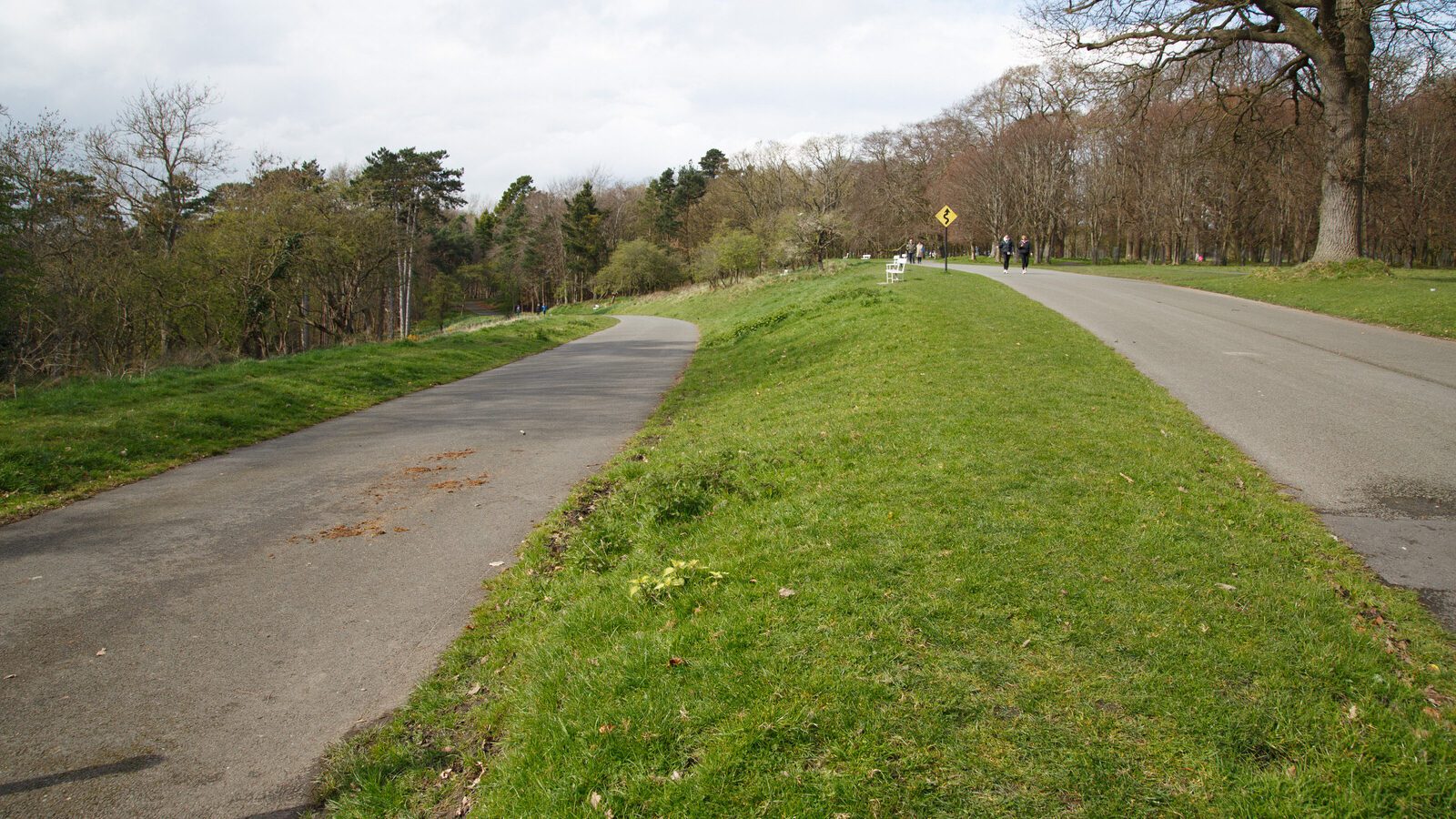 LOWER GLEN ROAD IN PHOENIX PARK [ON ROUTE TO THE FURRY GLEN]-223682-1