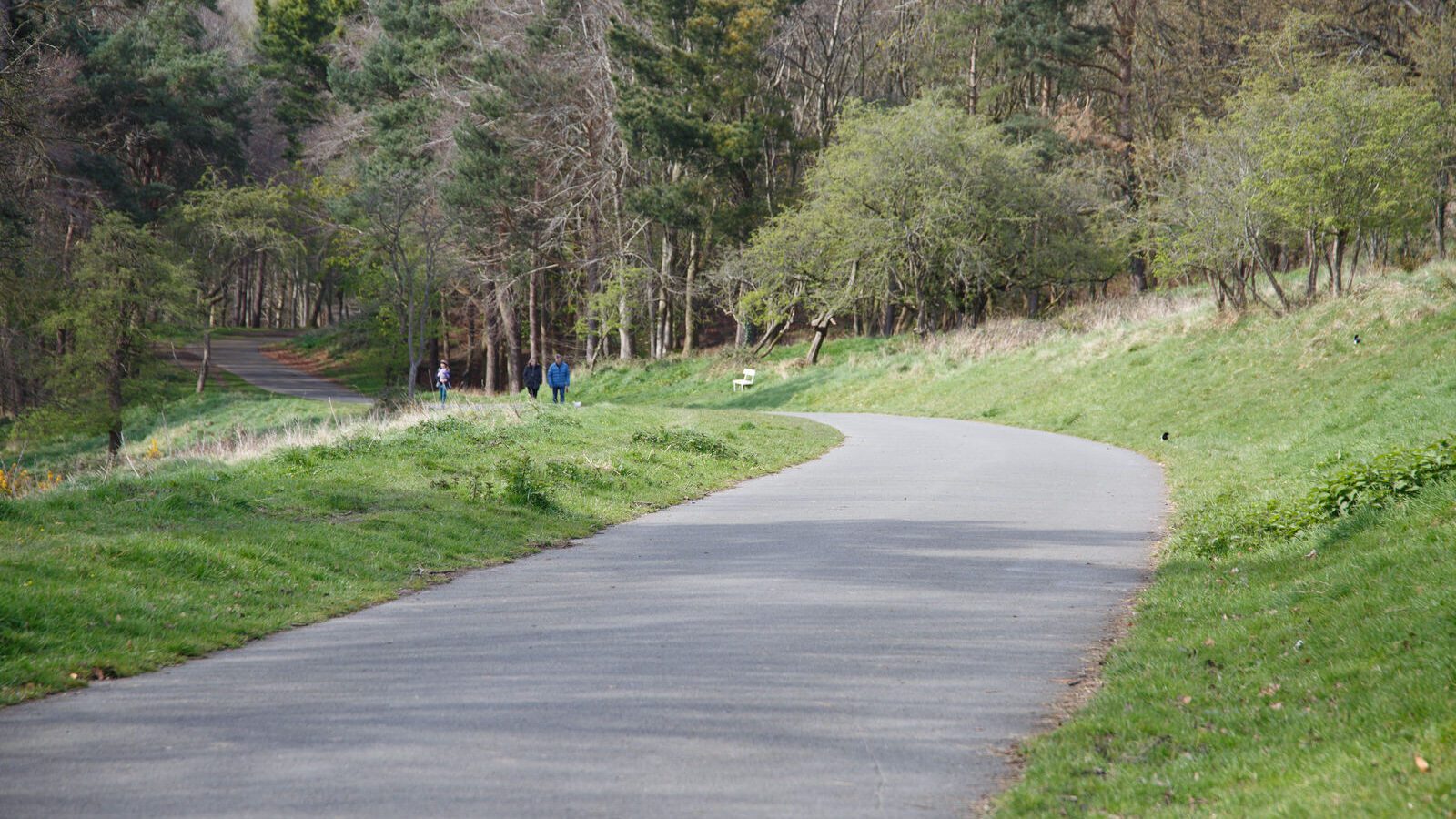 LOWER GLEN ROAD IN PHOENIX PARK [ON ROUTE TO THE FURRY GLEN]-223683-1